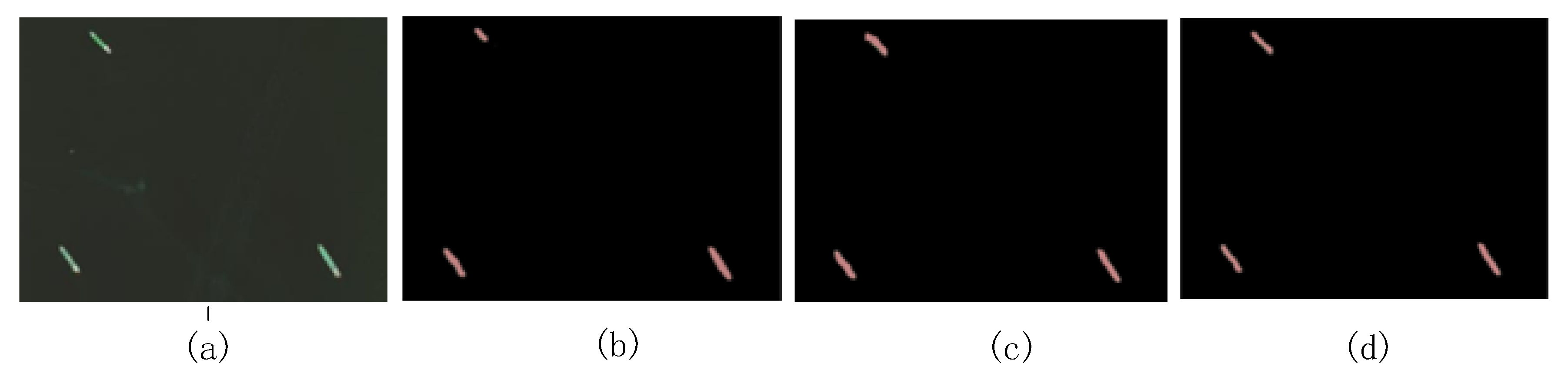 Remotesensing 12 00625 g004