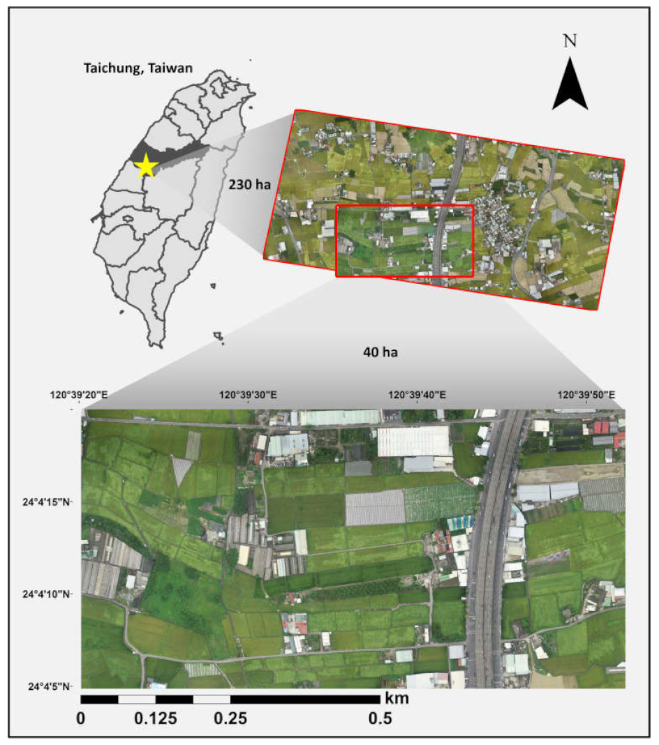 Remotesensing 12 00633 g001