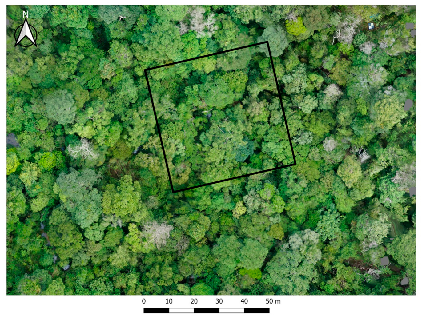 Remotesensing 12 00651 g002 Remotesensing 12 00651 g002