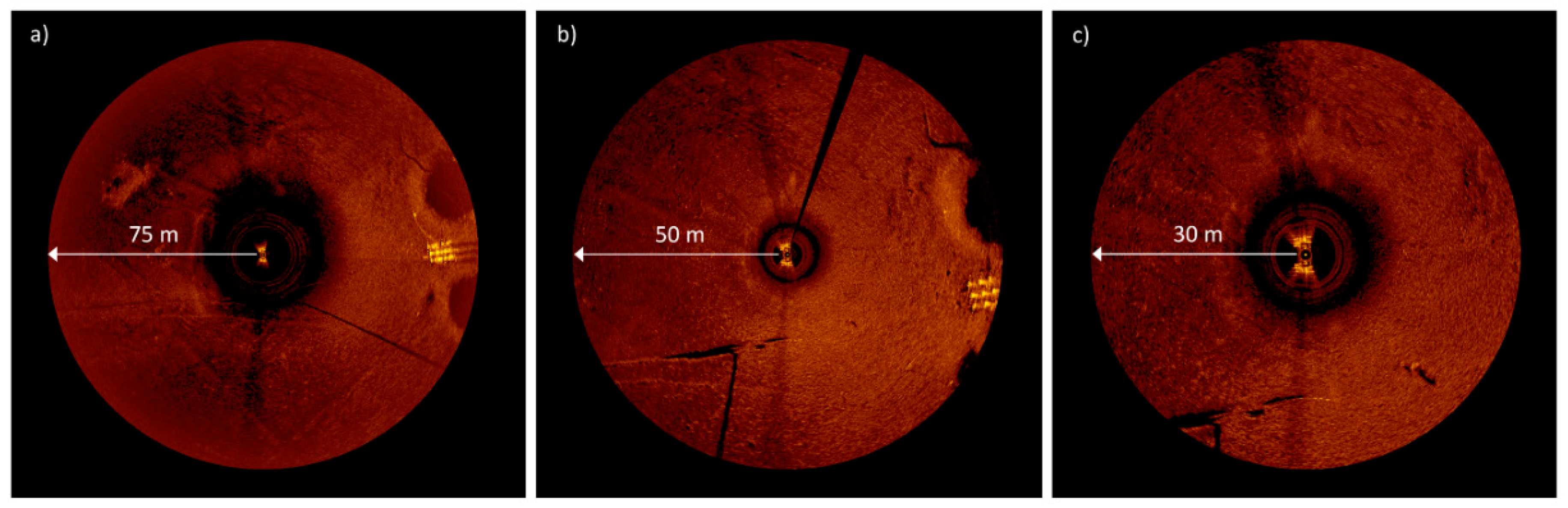 Remotesensing 12 00693 g012