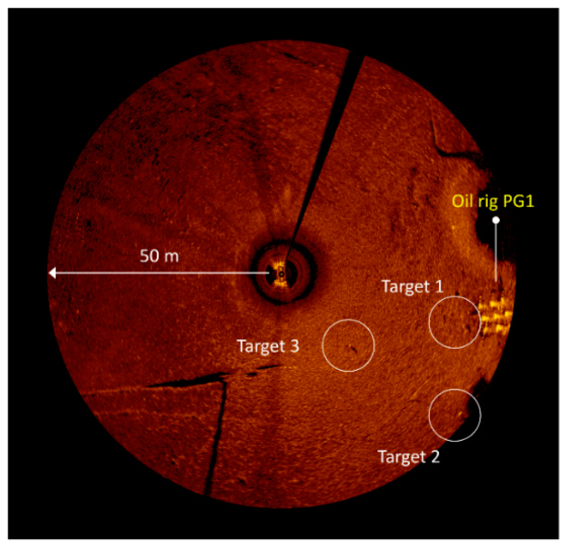 Remotesensing 12 00693 g013