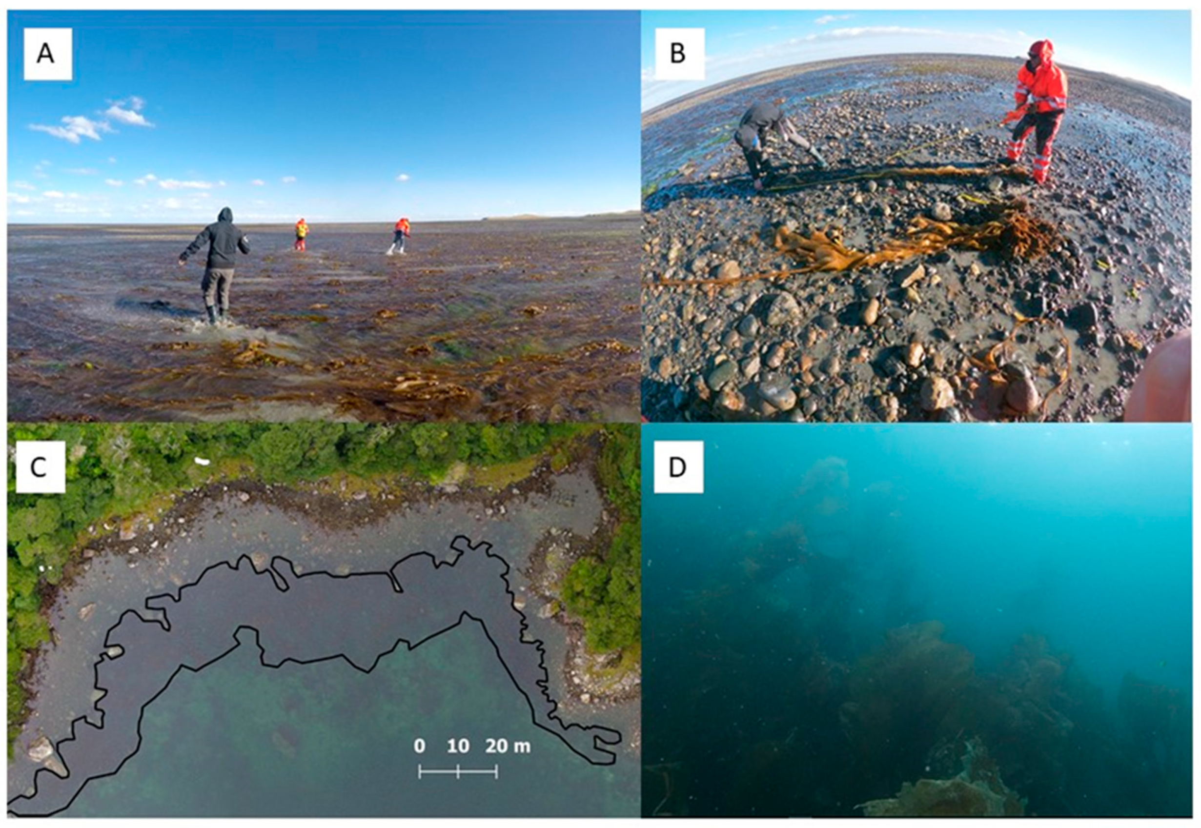 Remotesensing 12 00694 g006 Remotesensing 12 00694 g006