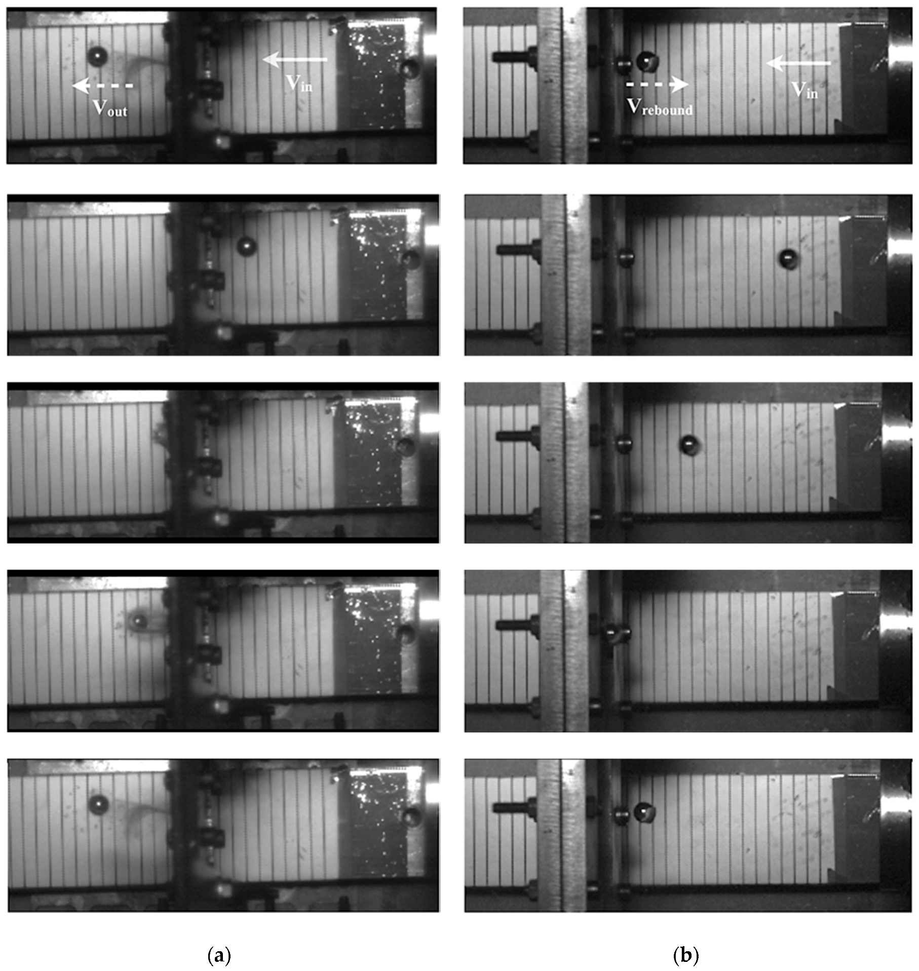 Remotesensing 12 00717 g011