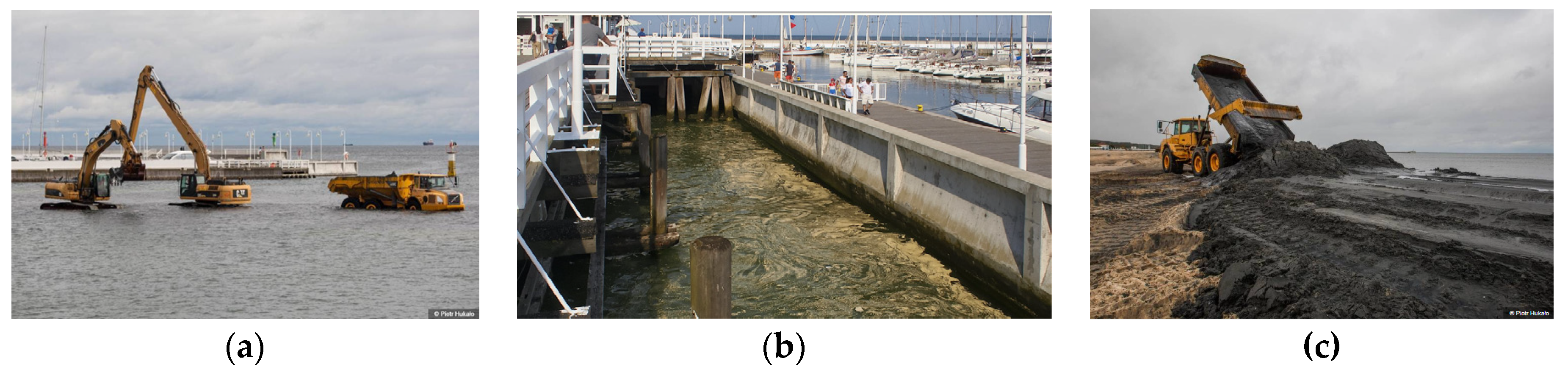 Remotesensing 12 00737 g003