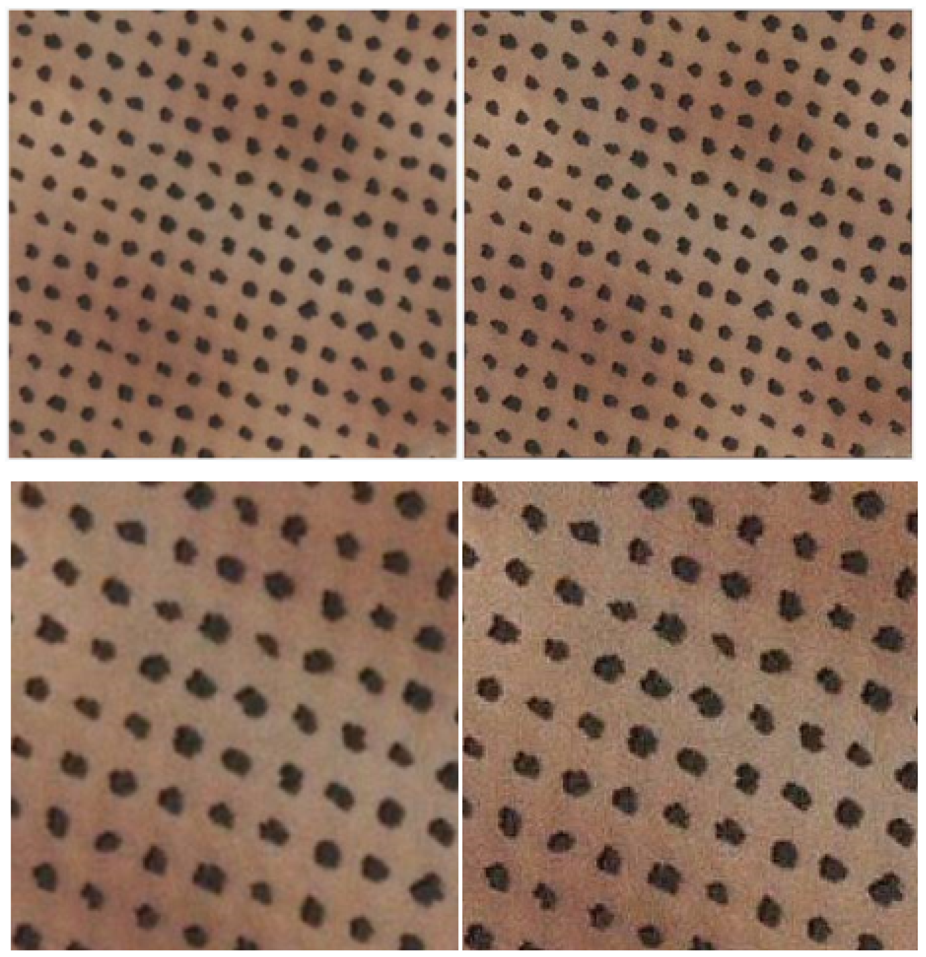 Remotesensing 12 00760 g006