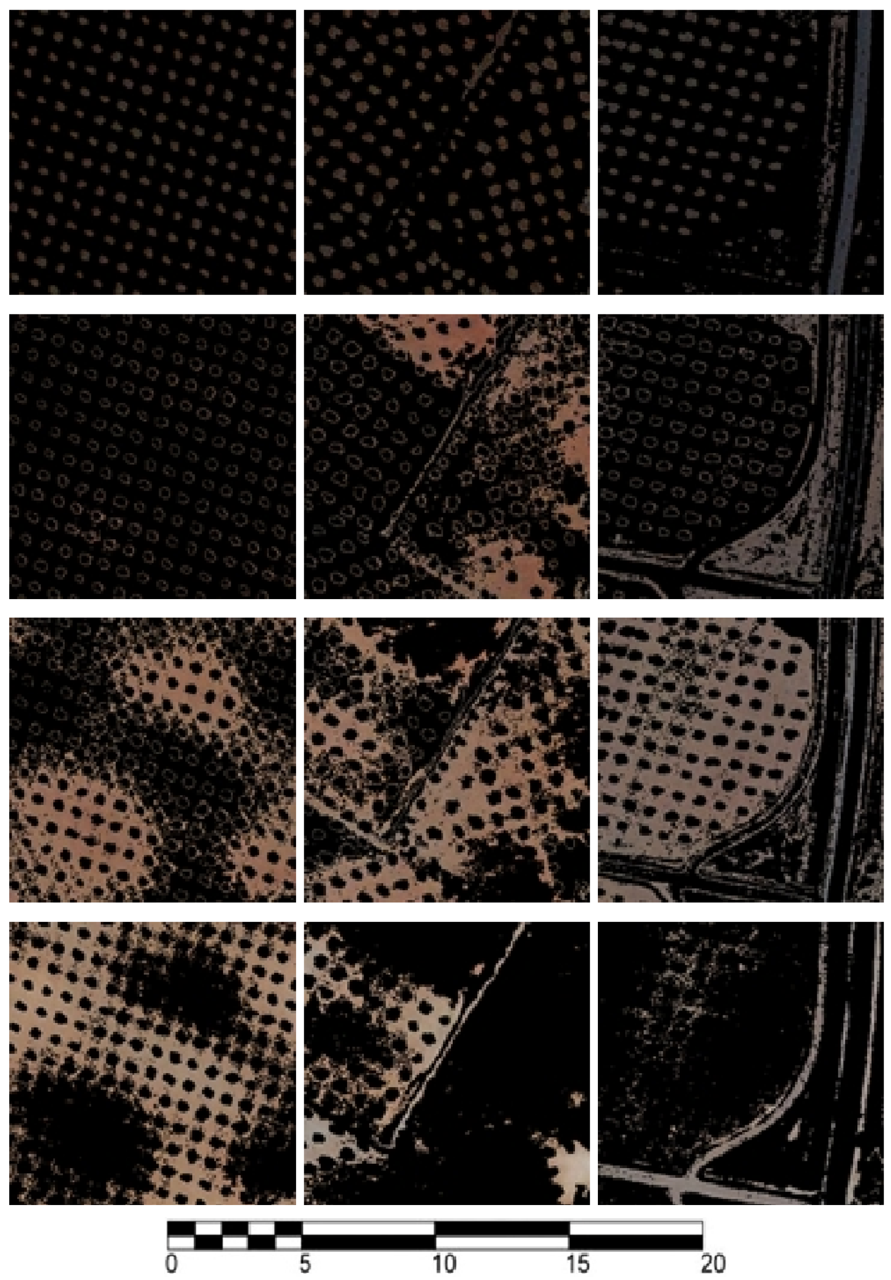 Remotesensing 12 00760 g007