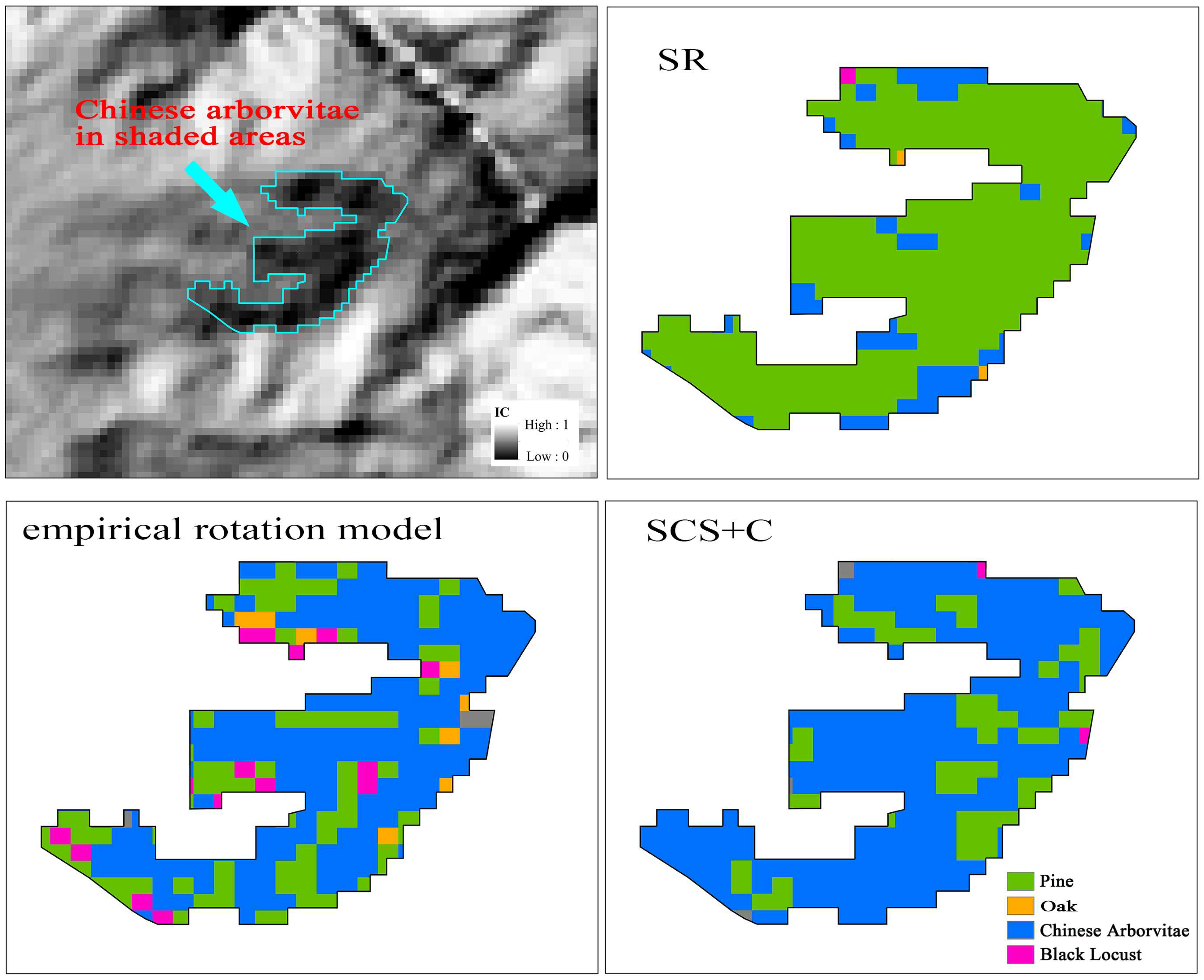 Remote Sensing Free Full Text The Effect Of Topographic Correction On Forest Tree Species Classification Accuracy Html