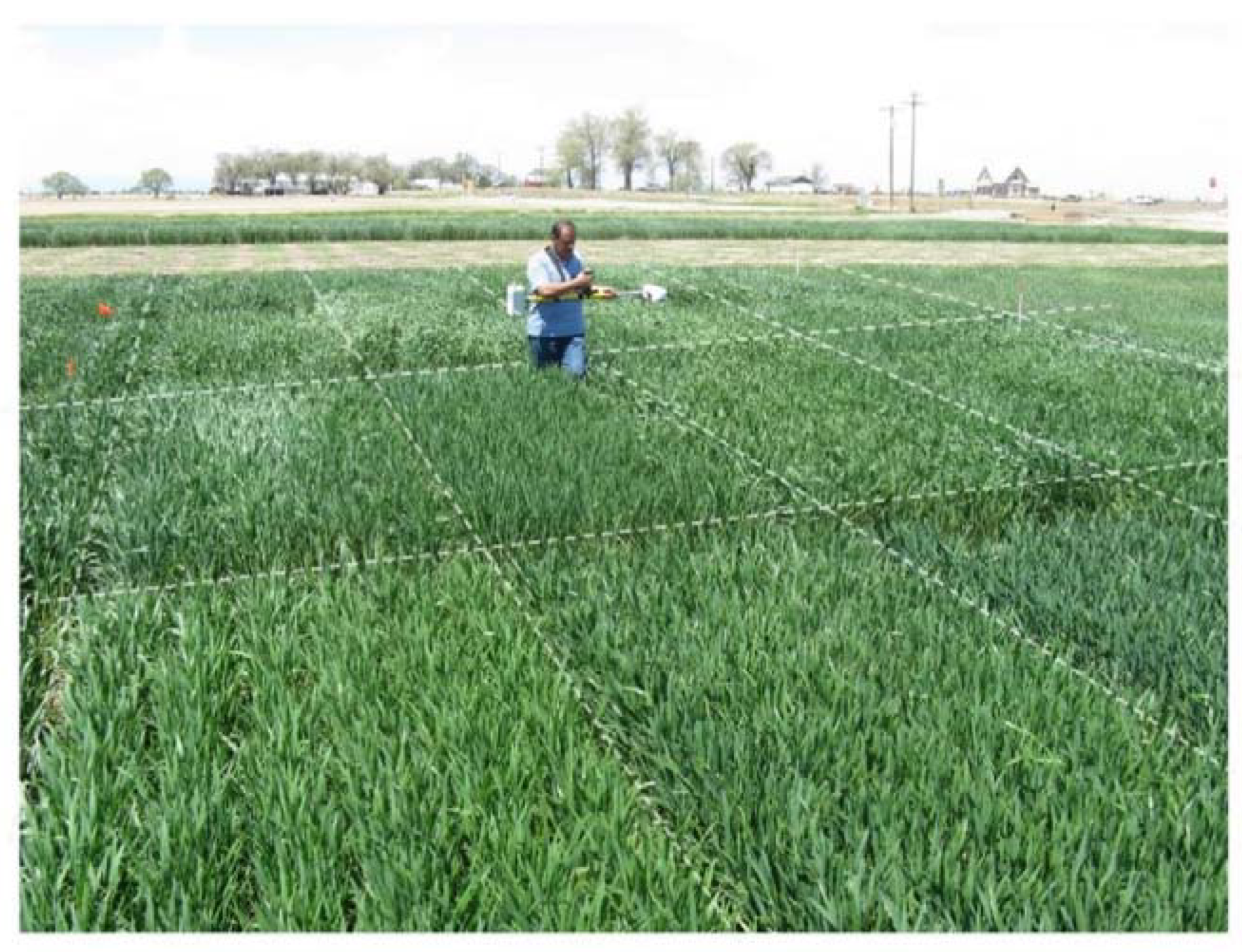 Remotesensing 12 00824 g001 Remotesensing 12 00824 g001