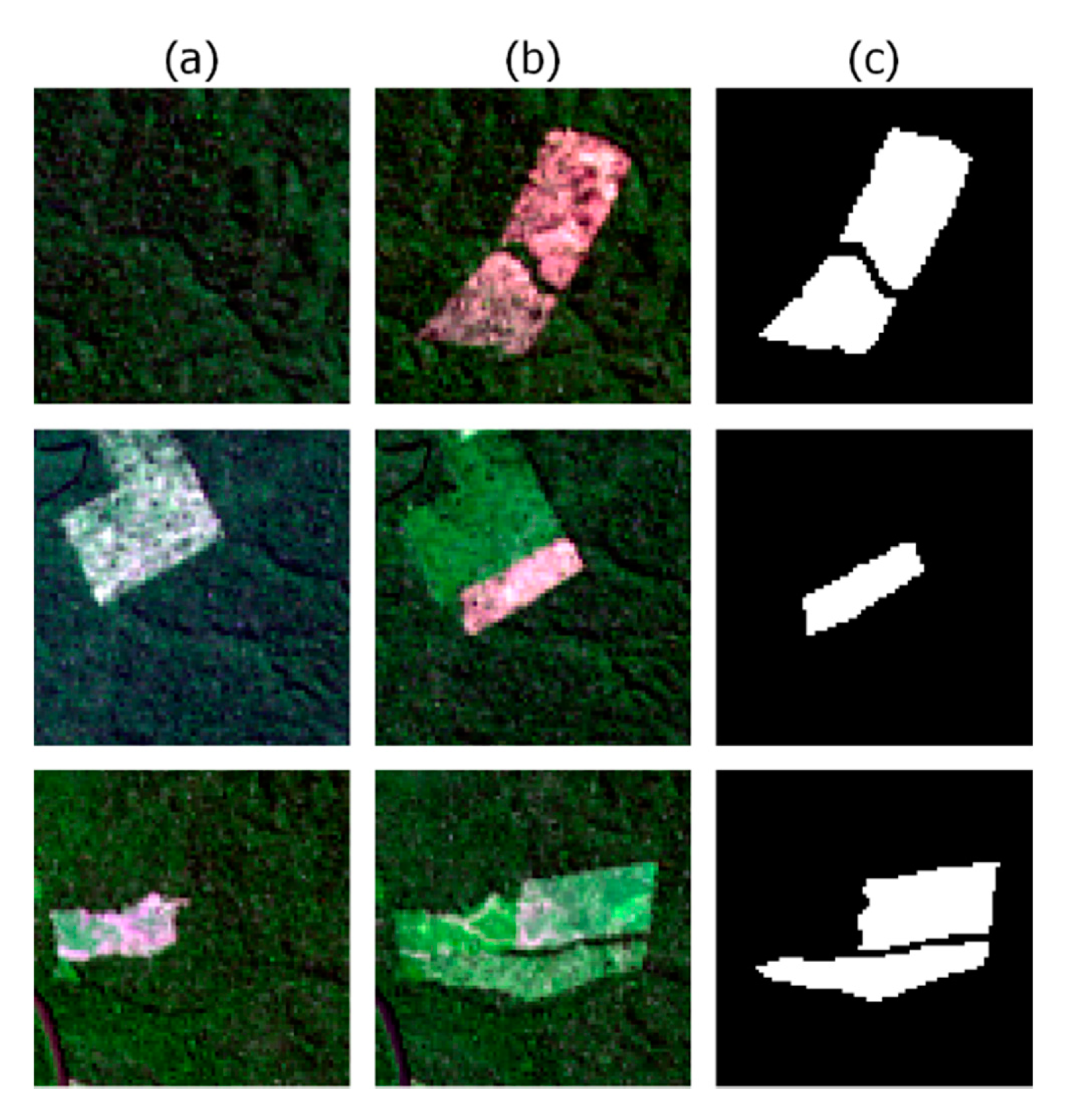 Remotesensing 12 00901 g004