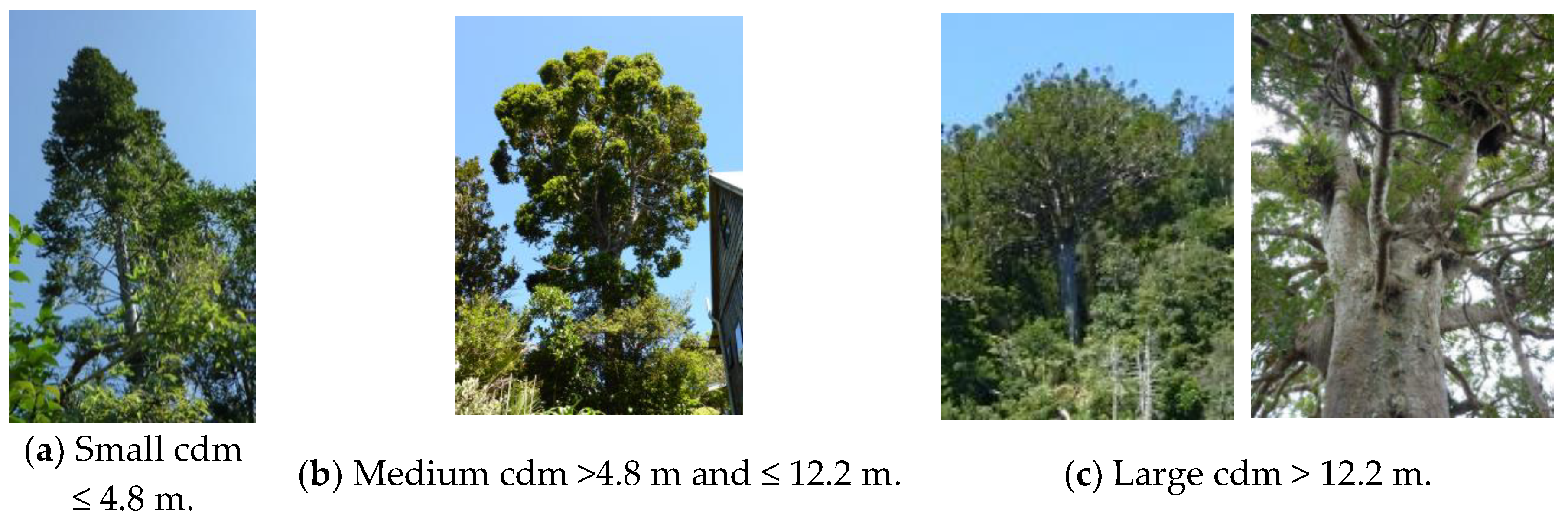 Remotesensing 12 00926 g001 Remotesensing 12 00926 g001