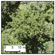 Remotesensing 12 00926 i003 Remotesensing 12 00926 i003