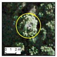 Remotesensing 12 00926 i004 Remotesensing 12 00926 i004