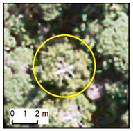 Remotesensing 12 00926 i007 Remotesensing 12 00926 i007