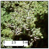 Remotesensing 12 00926 i008 Remotesensing 12 00926 i008