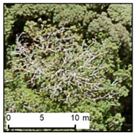 Remotesensing 12 00926 i012 Remotesensing 12 00926 i012