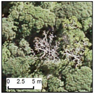 Remotesensing 12 00926 i014 Remotesensing 12 00926 i014