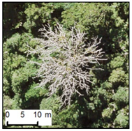 Remotesensing 12 00926 i015 Remotesensing 12 00926 i015