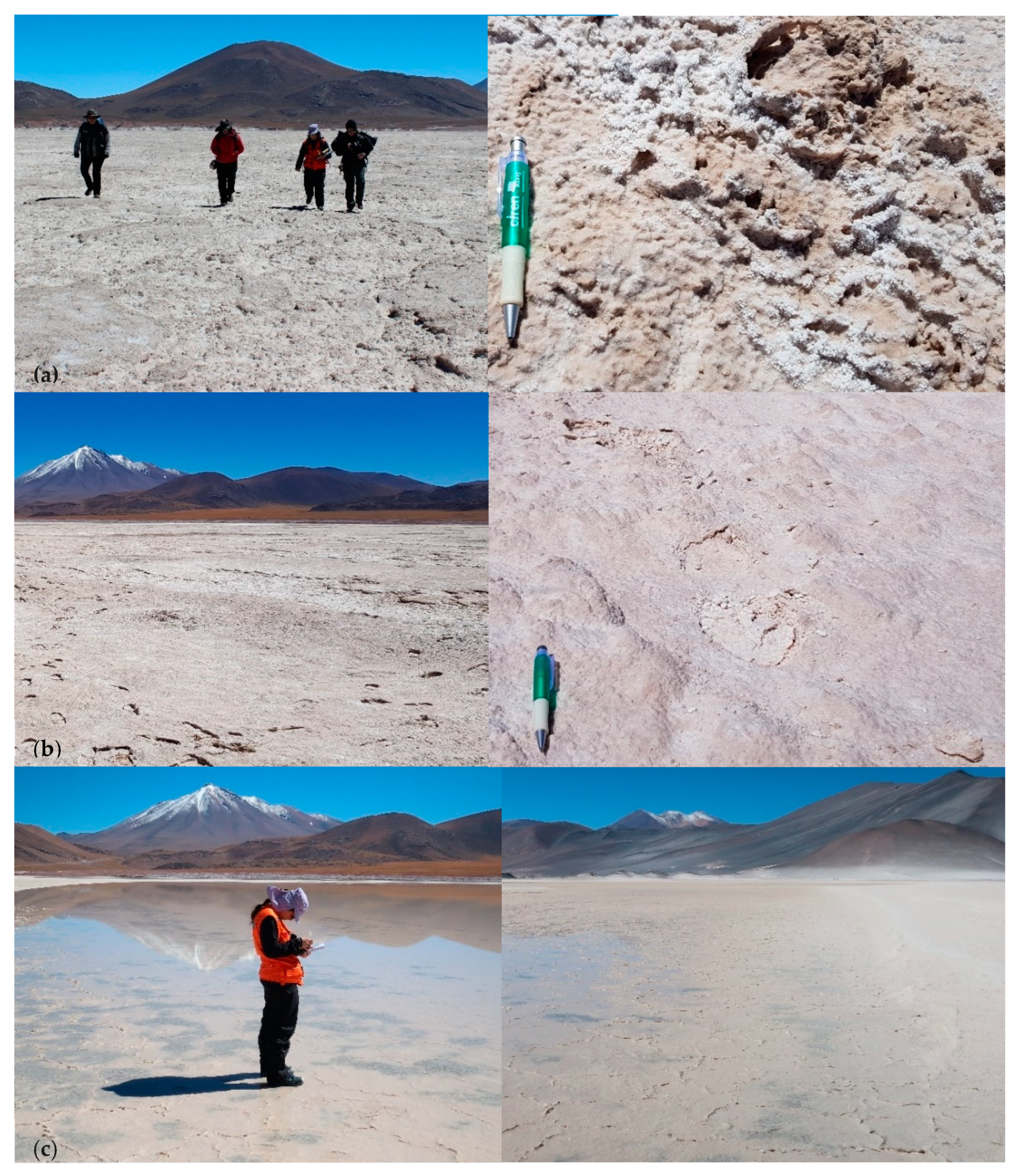 Remotesensing 12 00941 g004