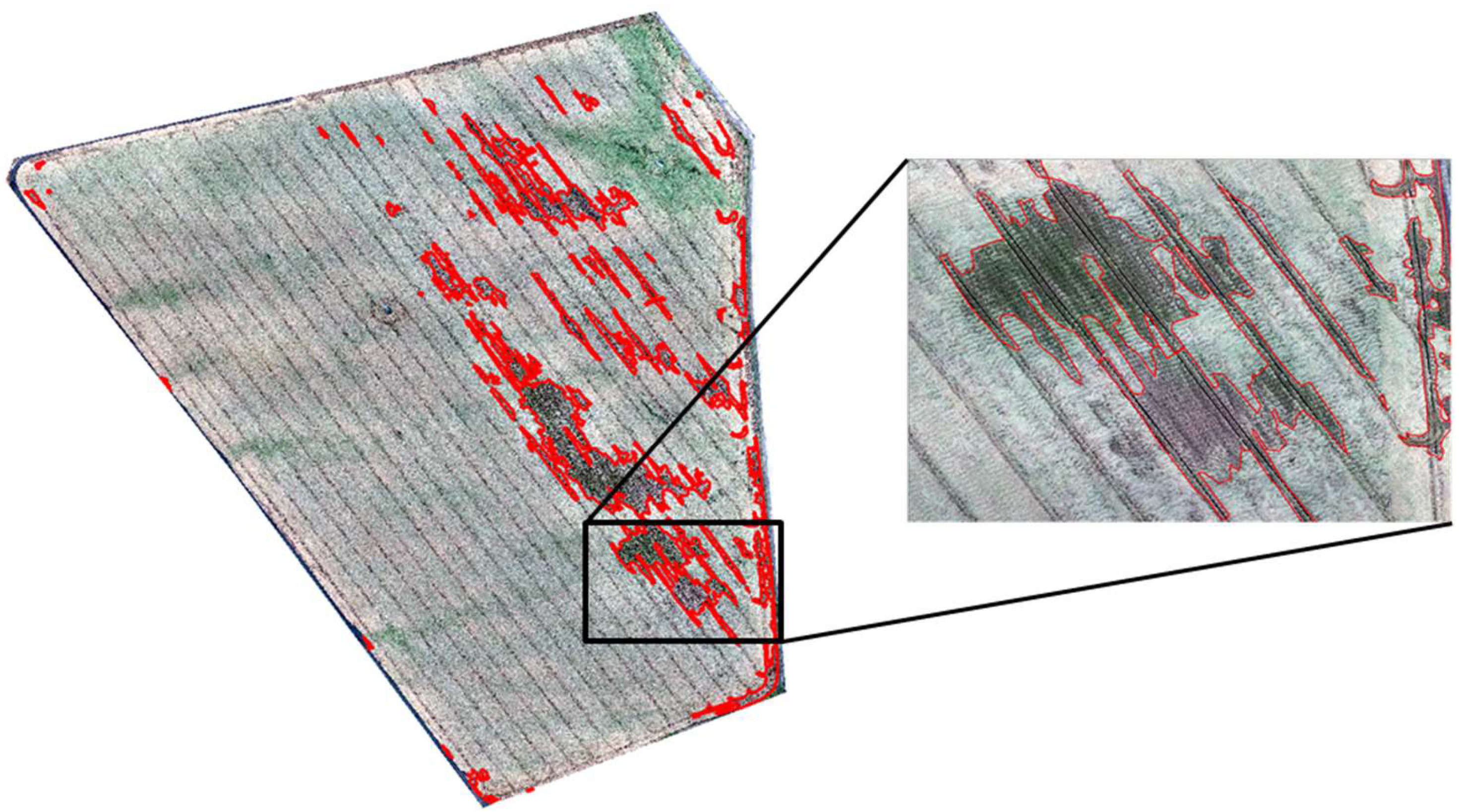 Remotesensing 12 00981 g008