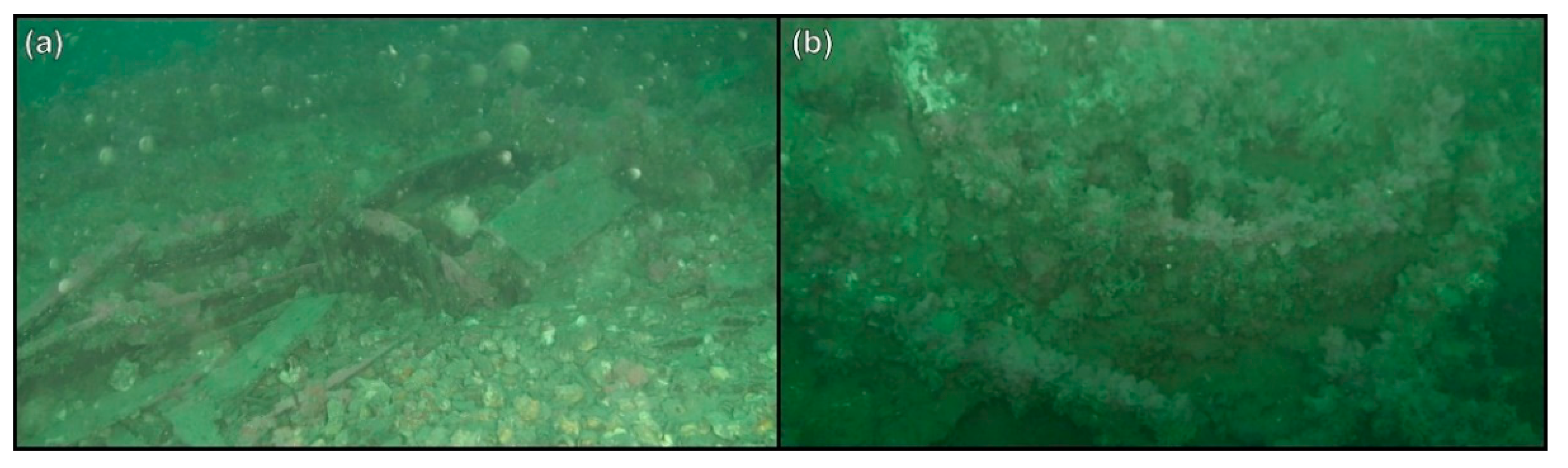 Remotesensing 12 00997 g005