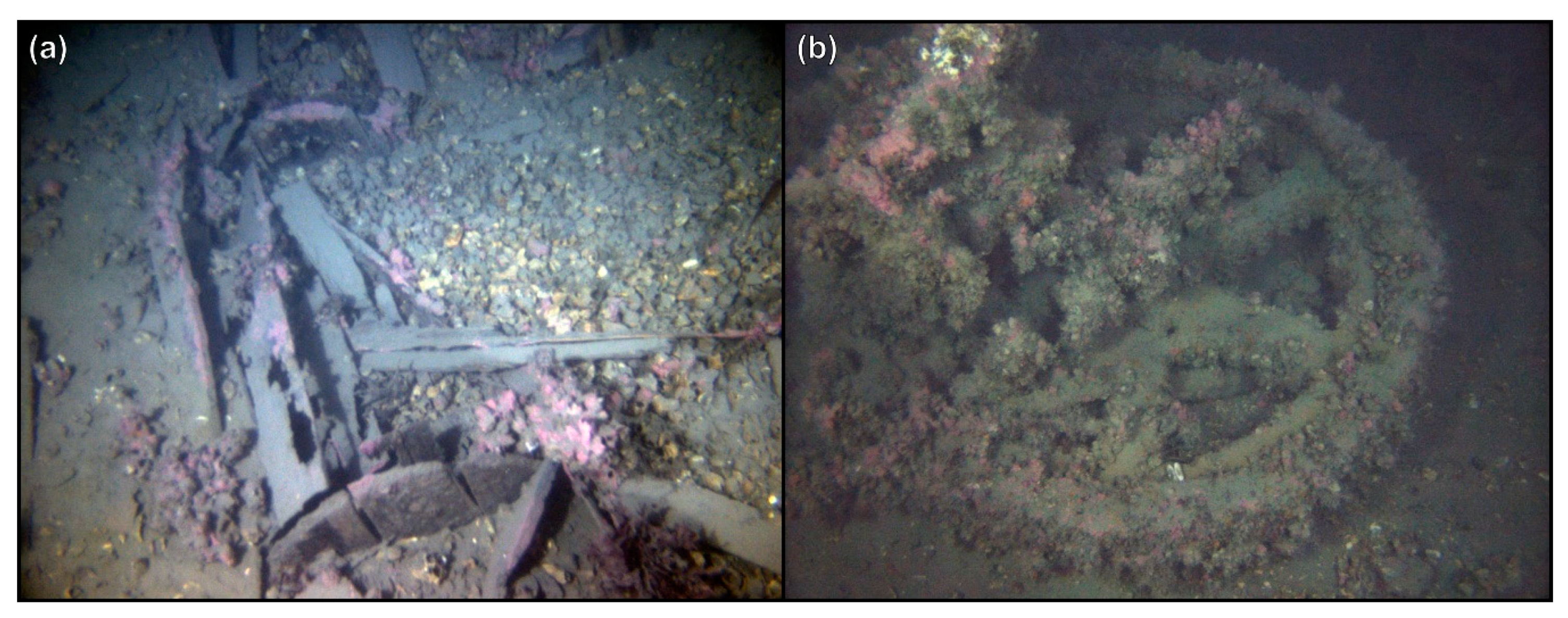 Remotesensing 12 00997 g006