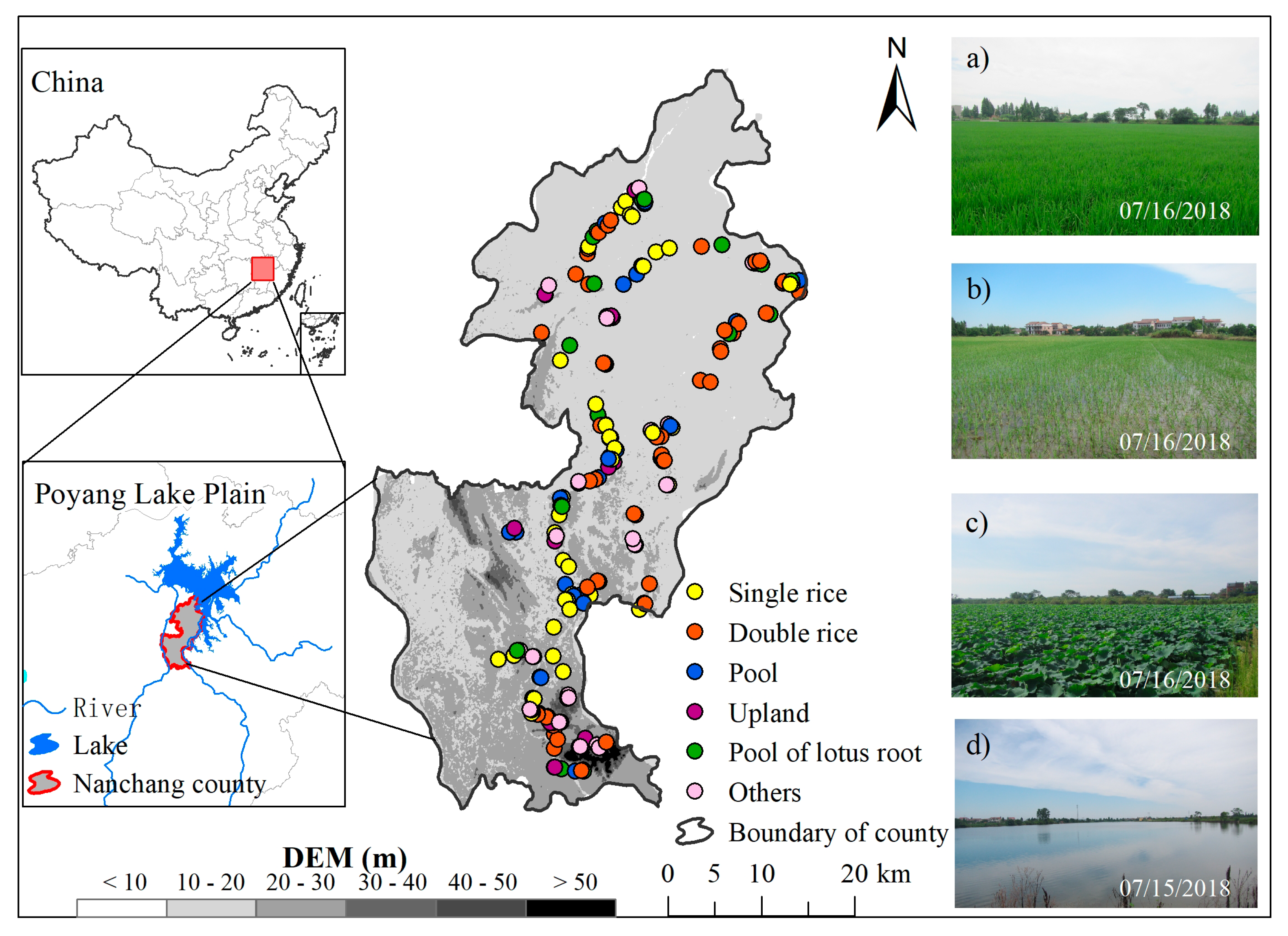 Remote Sensing Free Full Text Phenology Based Rice Paddy