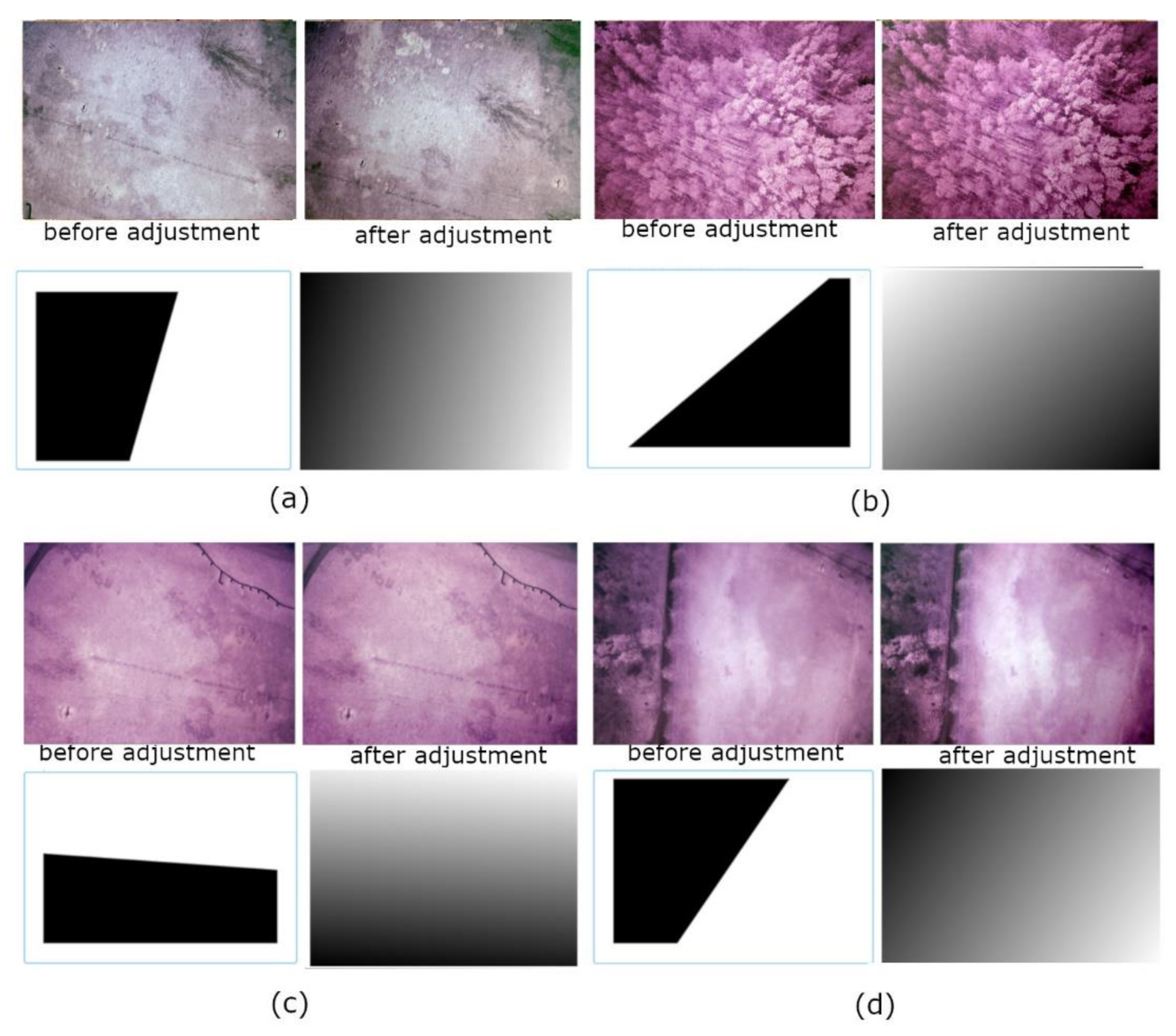 Remotesensing 12 01040 g010