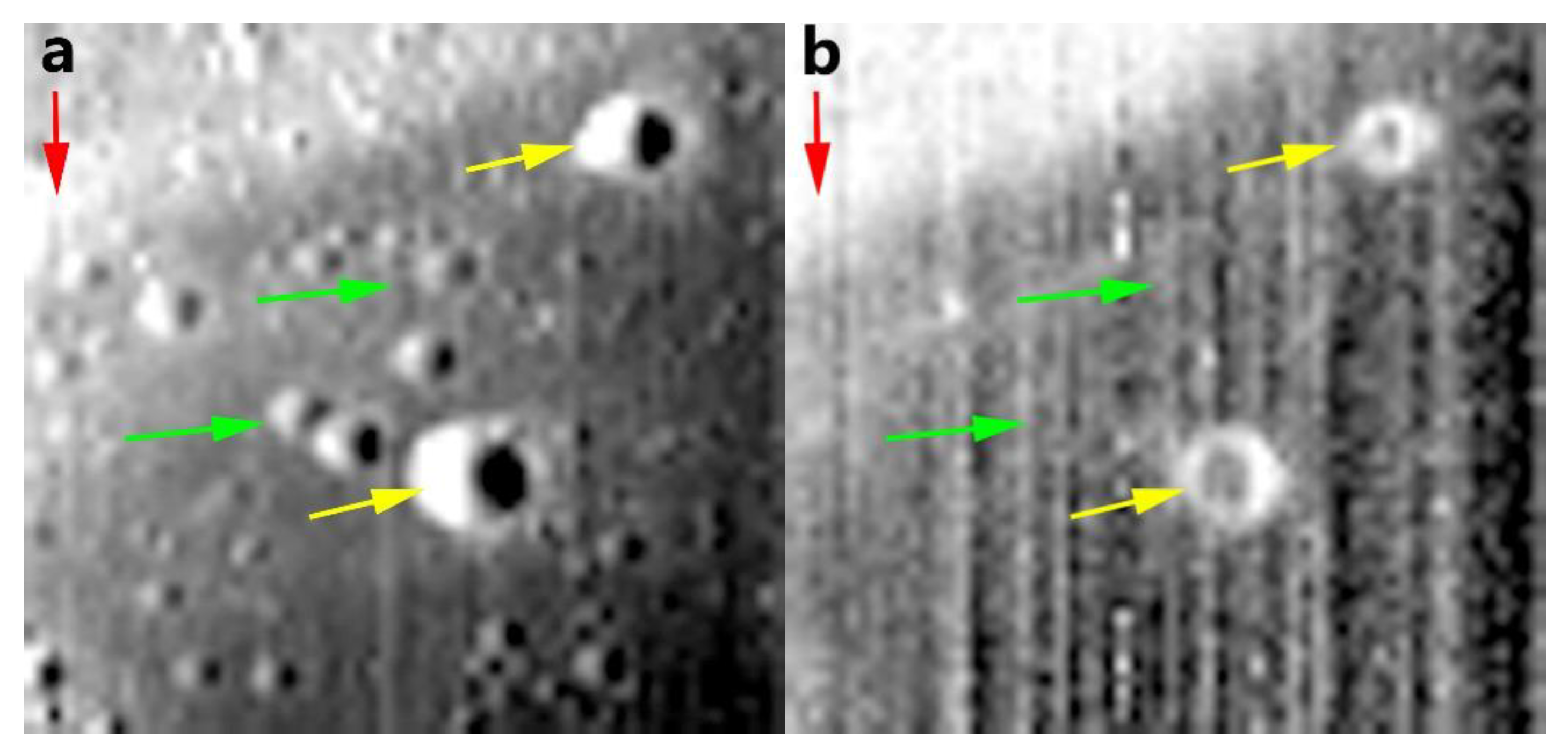 Remotesensing 12 01047 g015 Remotesensing 12 01047 g015