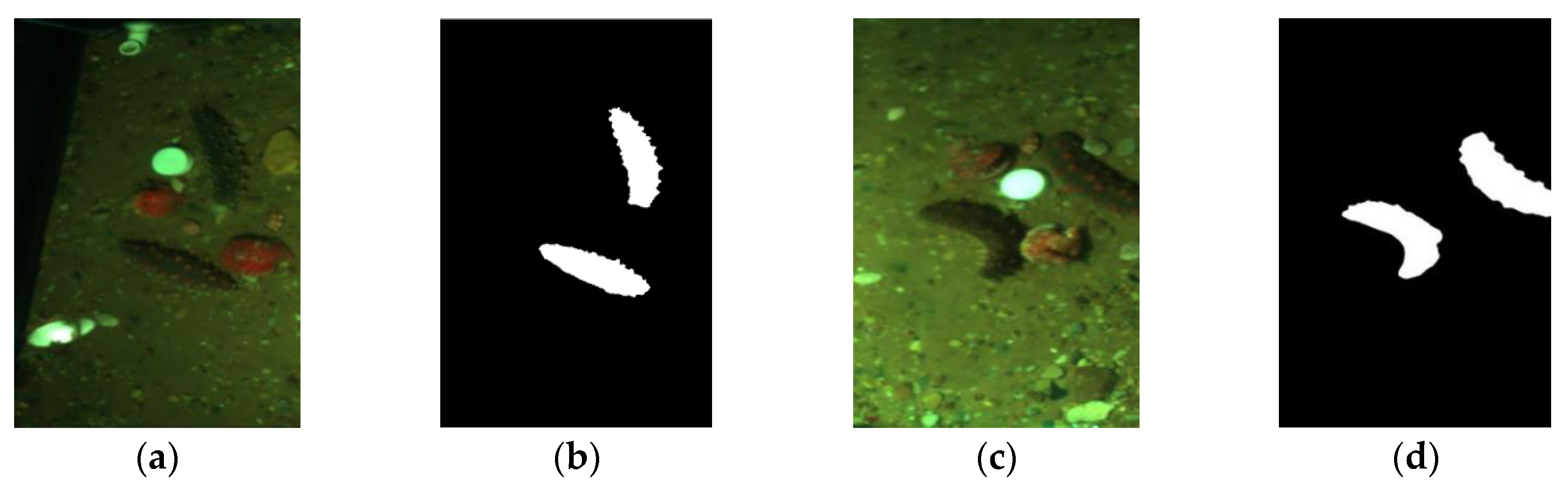 Remotesensing 12 01056 g005