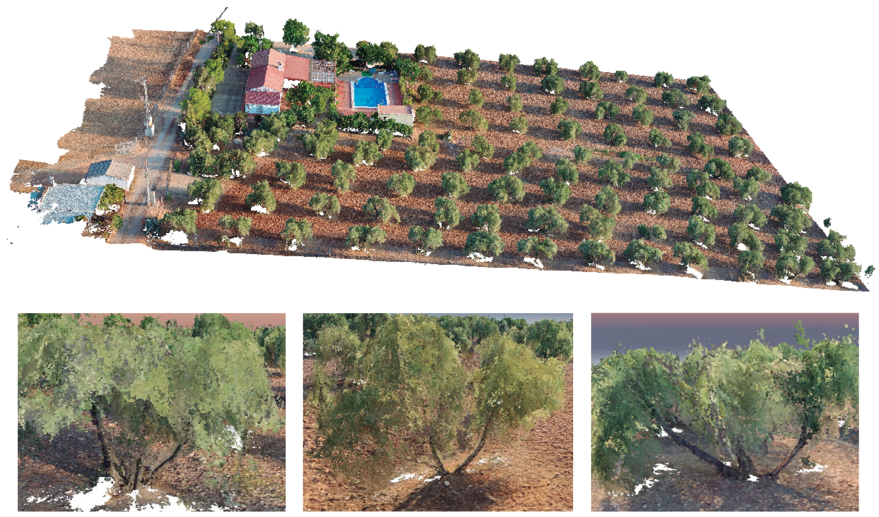 Remotesensing 12 01106 g006