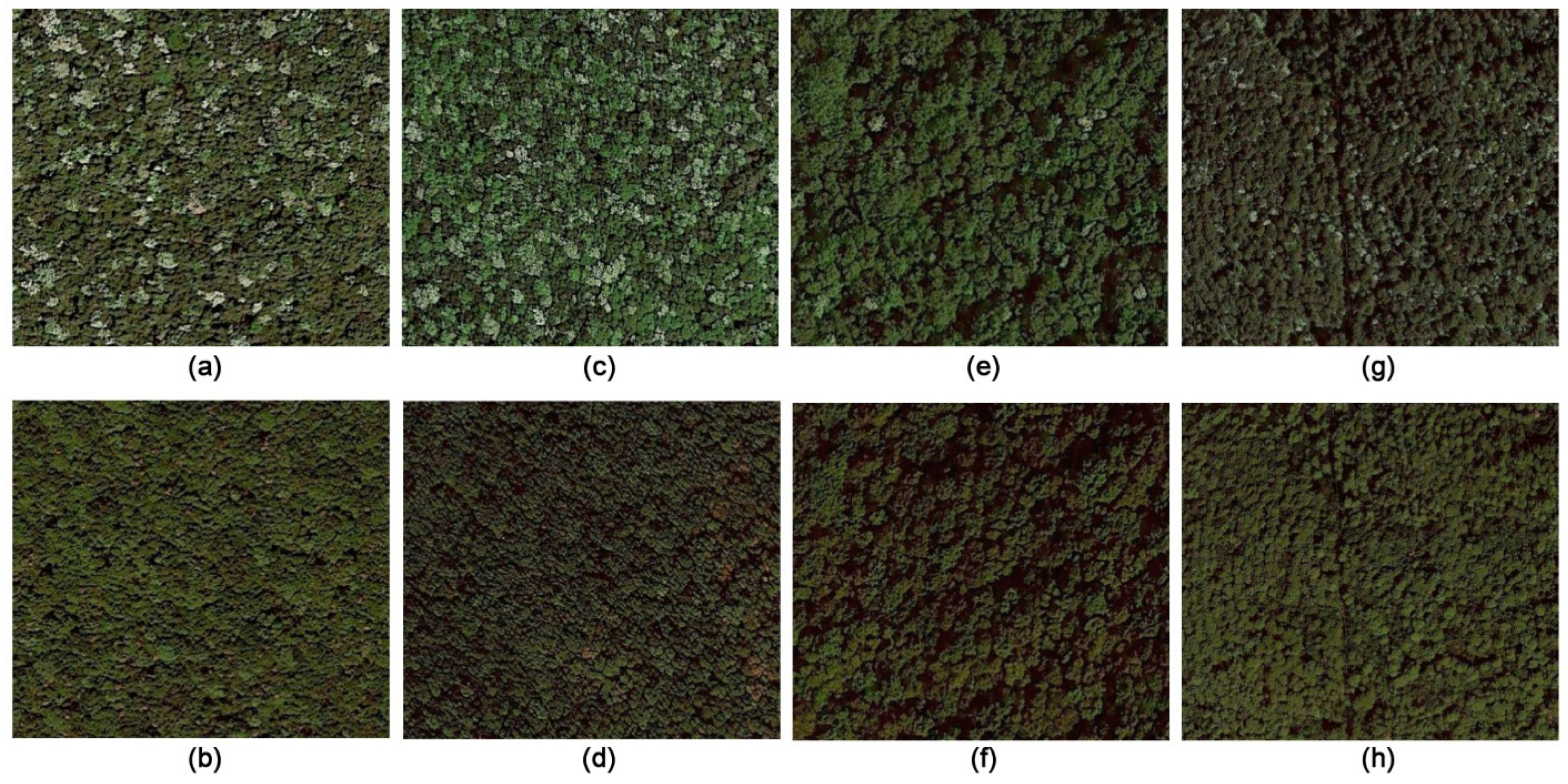 Remotesensing 12 01132 g0a2