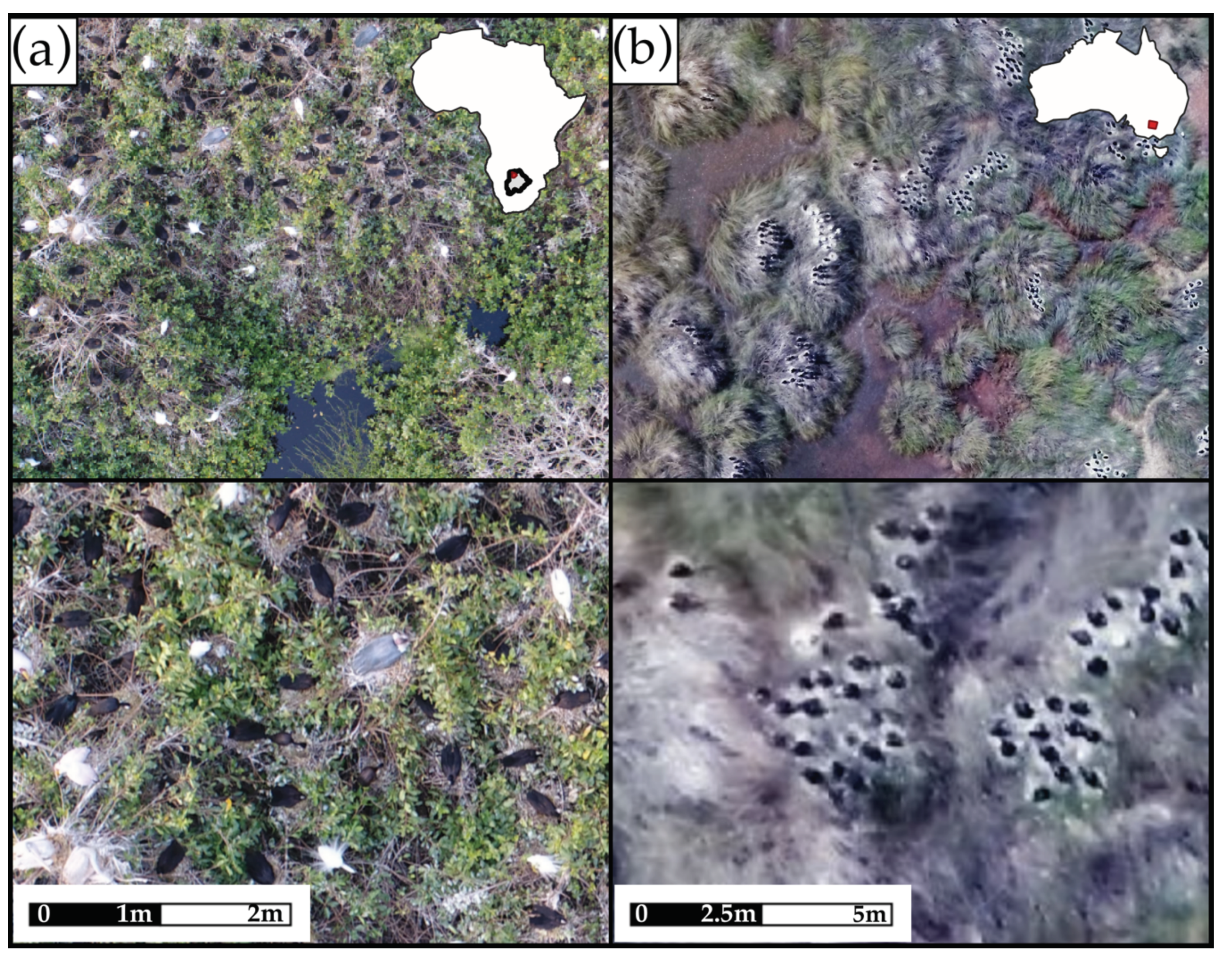 Remotesensing 12 01185 g001 Remotesensing 12 01185 g001