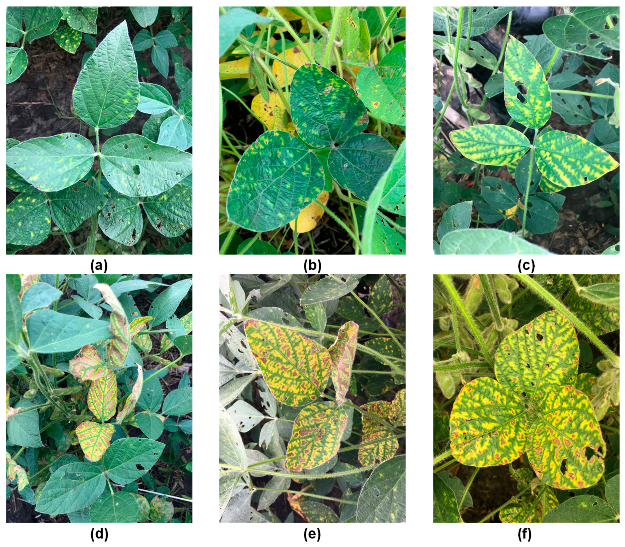 Remotesensing 12 01213 g003