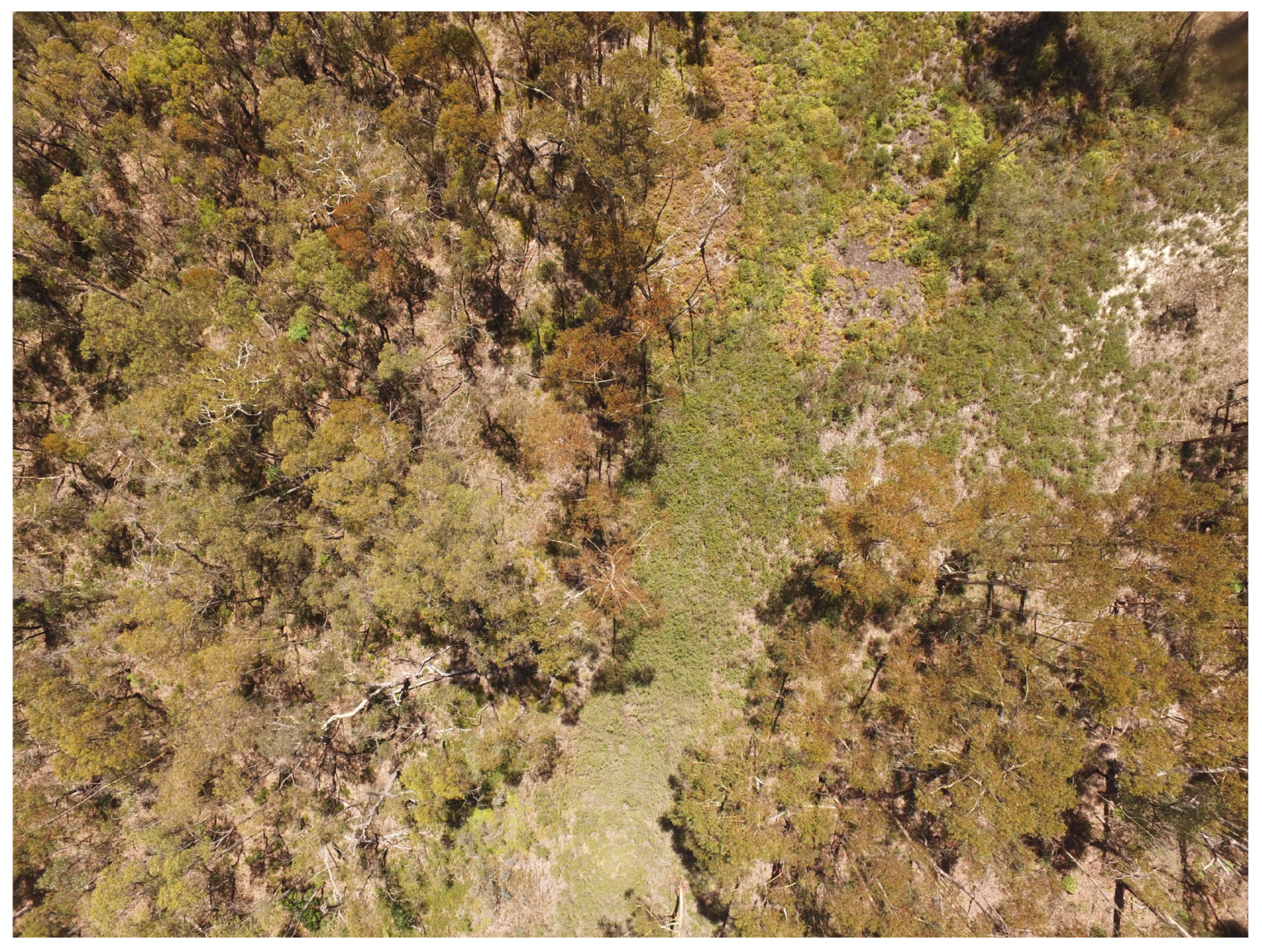 Remotesensing 12 01238 g003 Remotesensing 12 01238 g003