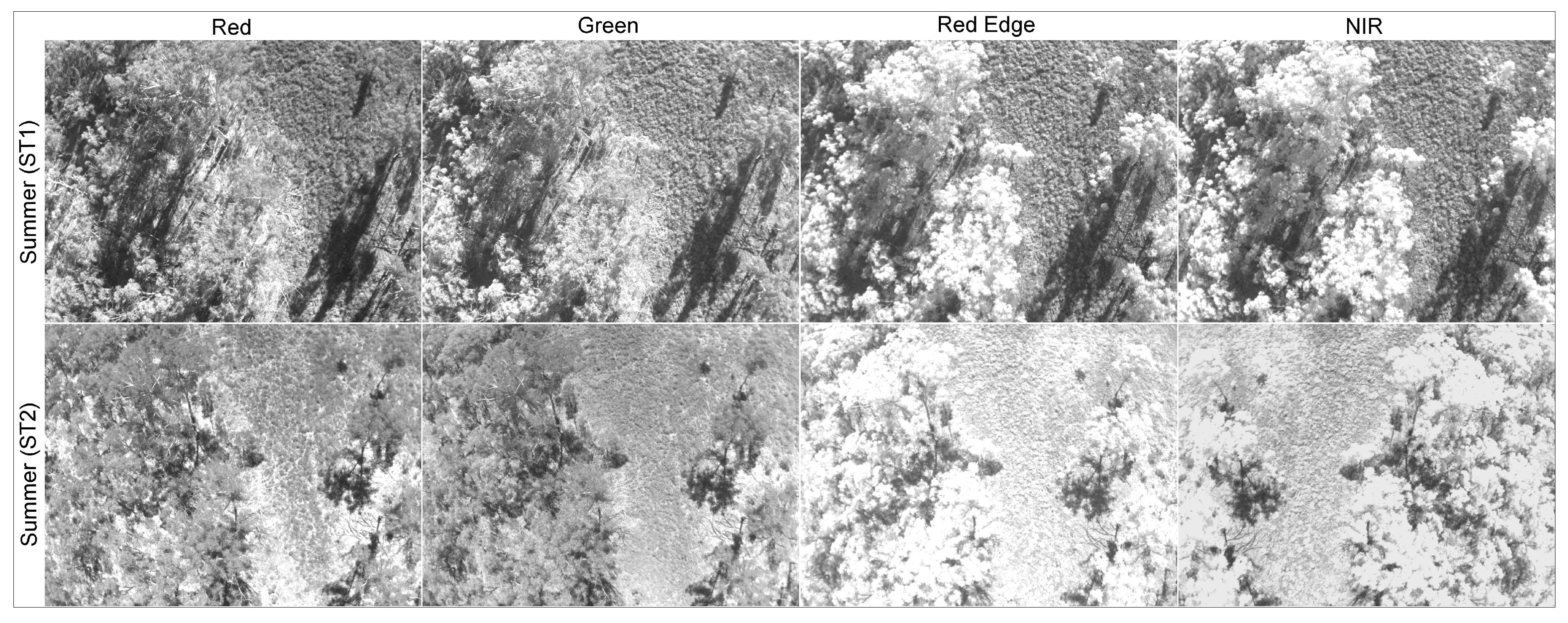 Remotesensing 12 01238 g004 Remotesensing 12 01238 g004