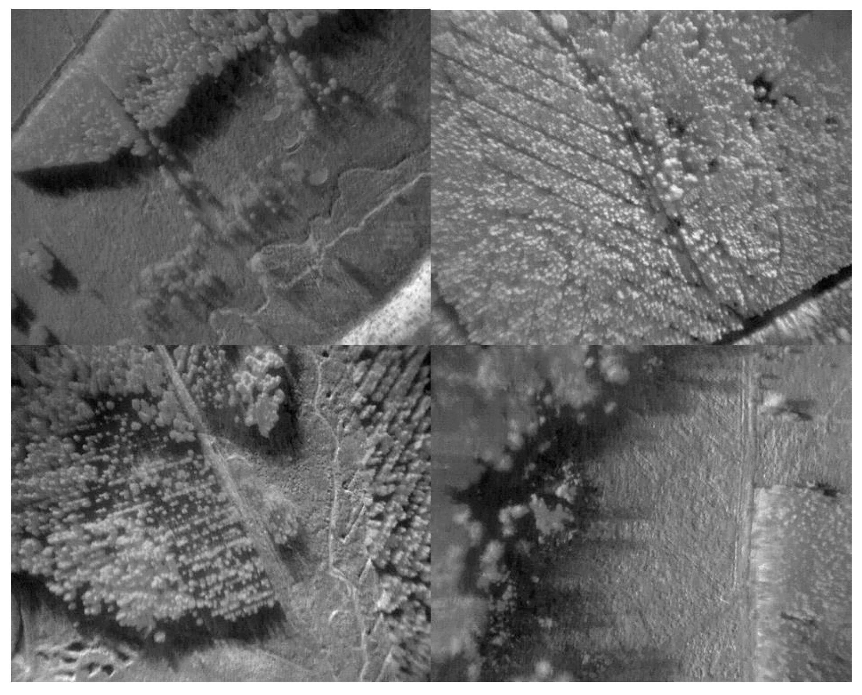 Remotesensing 12 01265 g008 Remotesensing 12 01265 g008