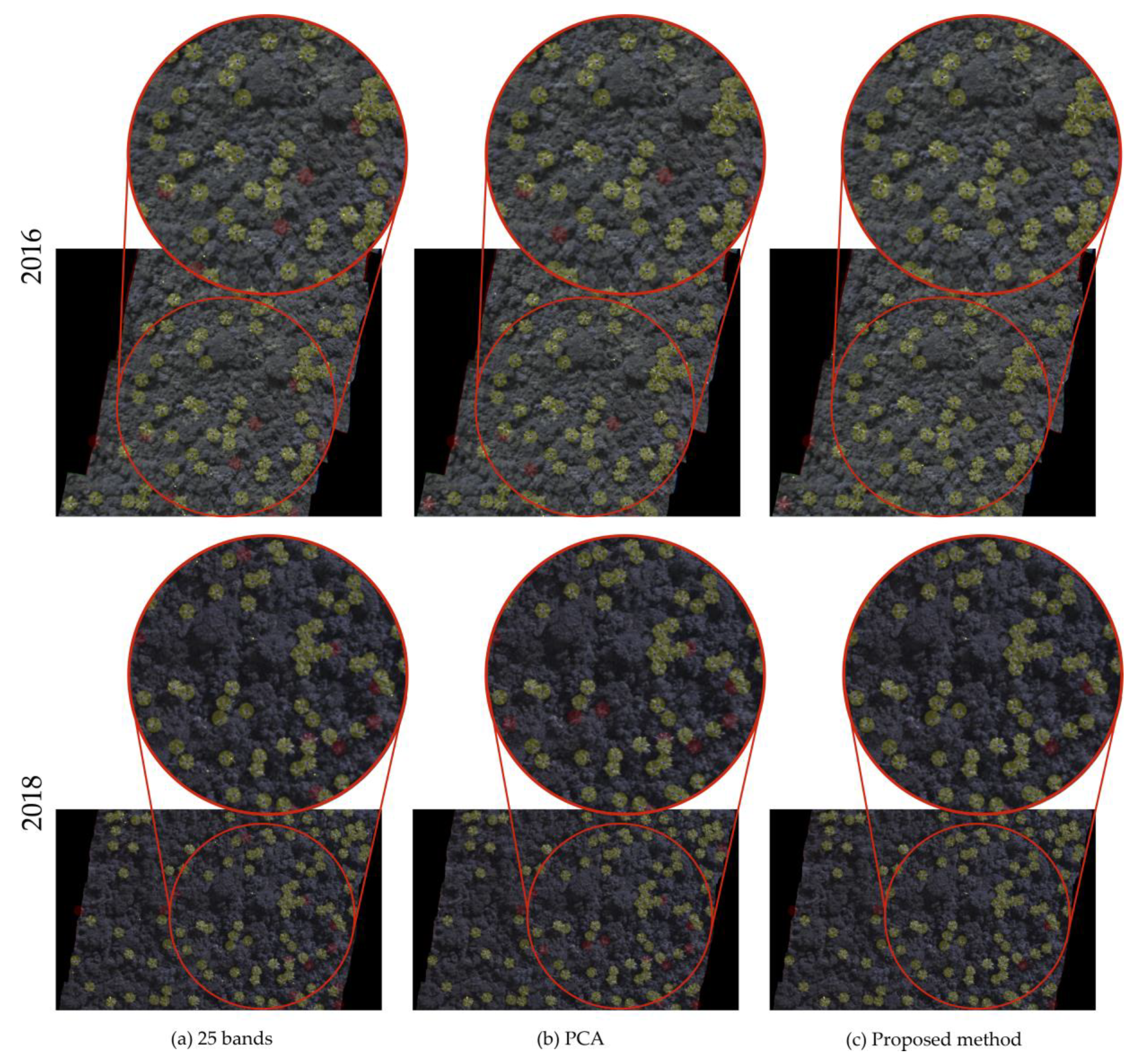 Remotesensing 12 01294 g009 Remotesensing 12 01294 g009