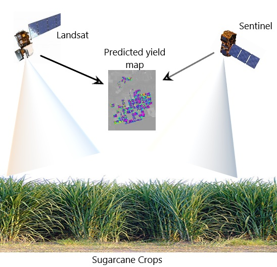 Remote Sensing Free FullText Integrating Landsat8 and Sentinel2 Time Series Data for