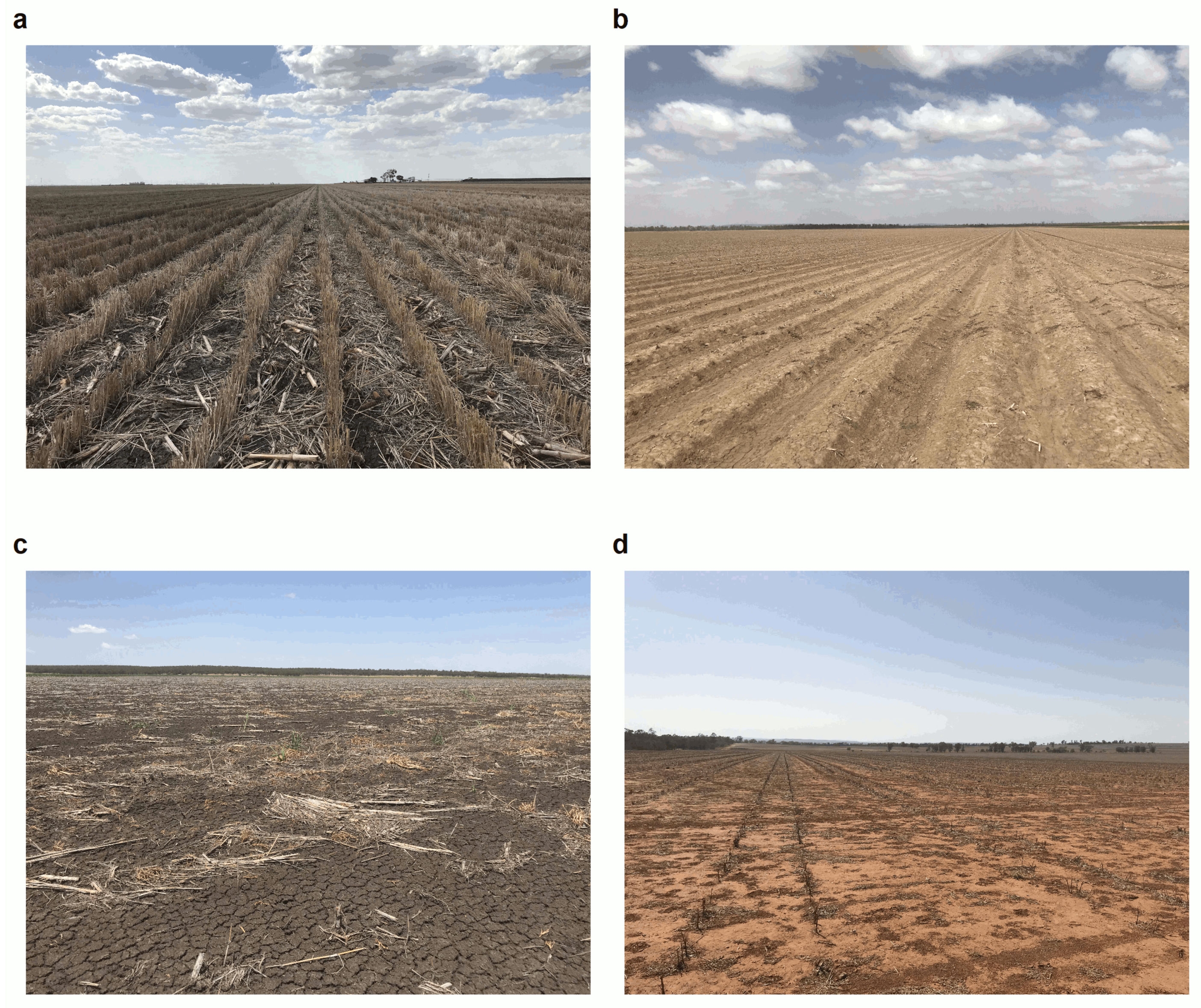 Remotesensing 12 01337 g002 Remotesensing 12 01337 g002