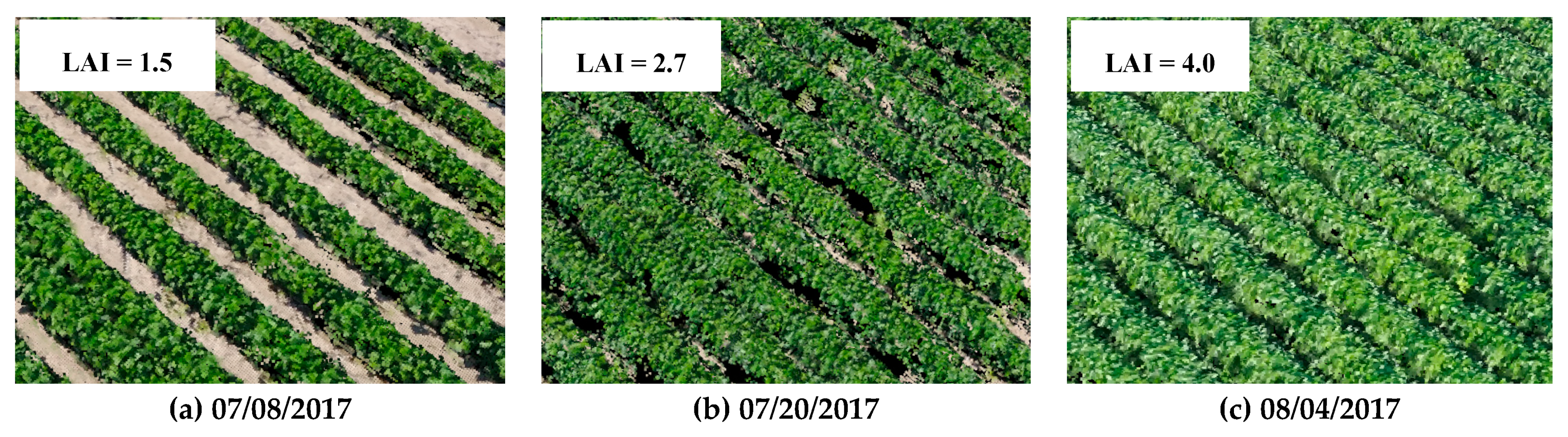 Remotesensing 12 01357 g011