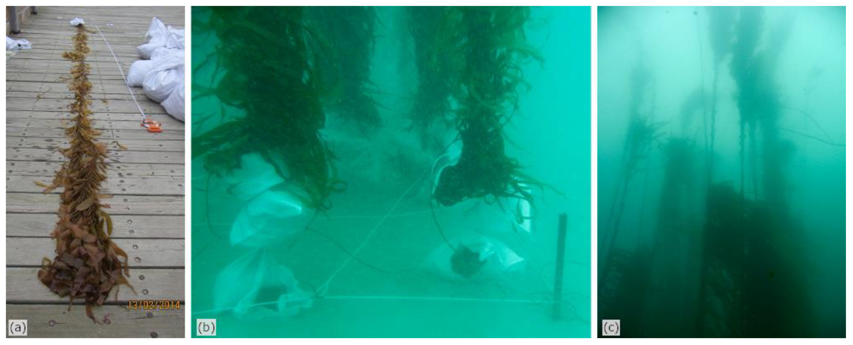 Remotesensing 12 01371 g001 Remotesensing 12 01371 g001