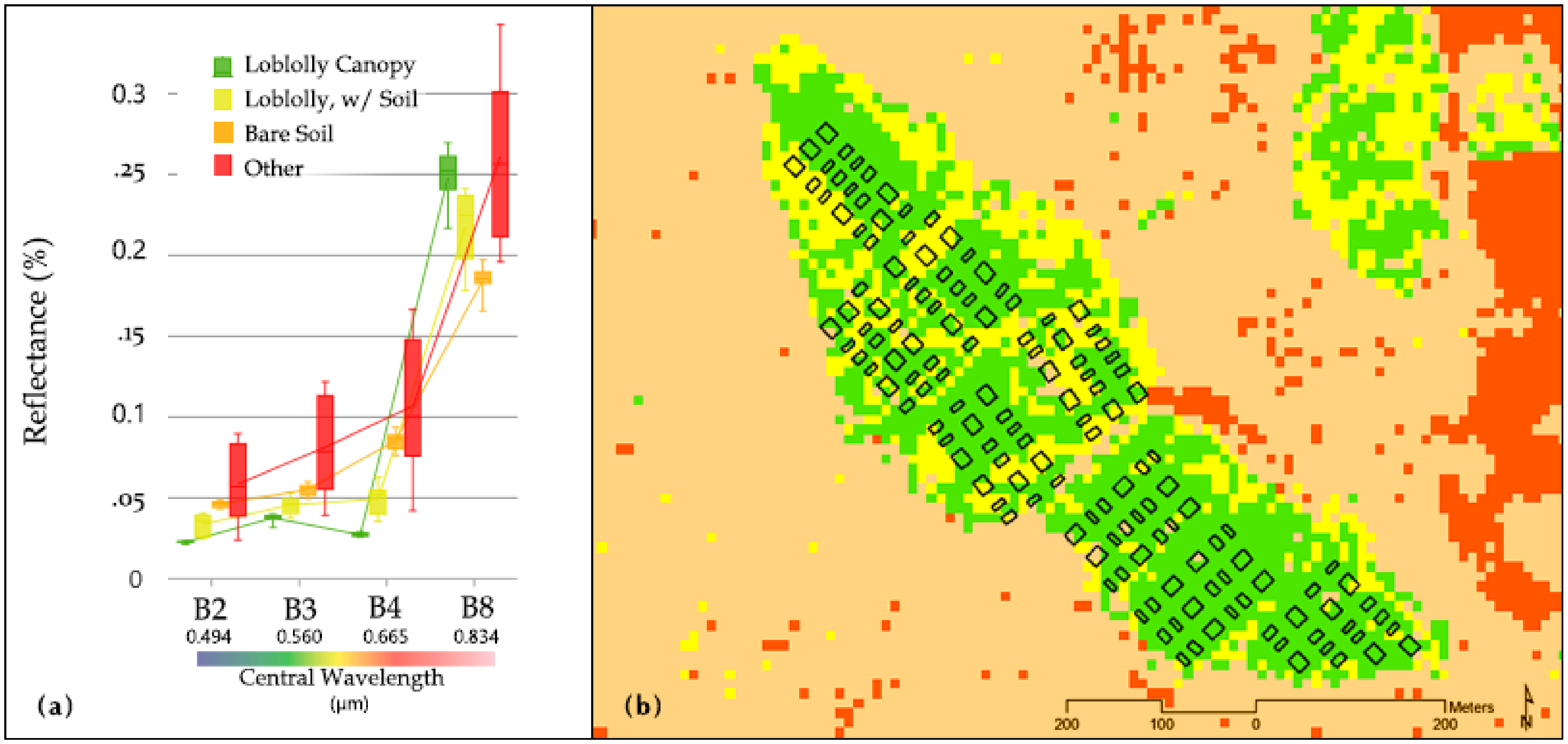 Remote Sensing Free FullText Sentinel2 Leaf Area Index Estimation for Pine Plantations in