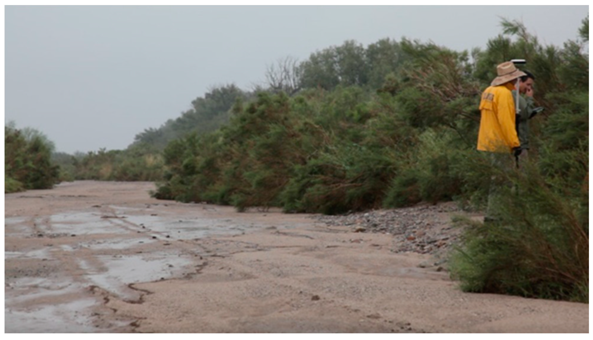 Remotesensing 12 01437 g005