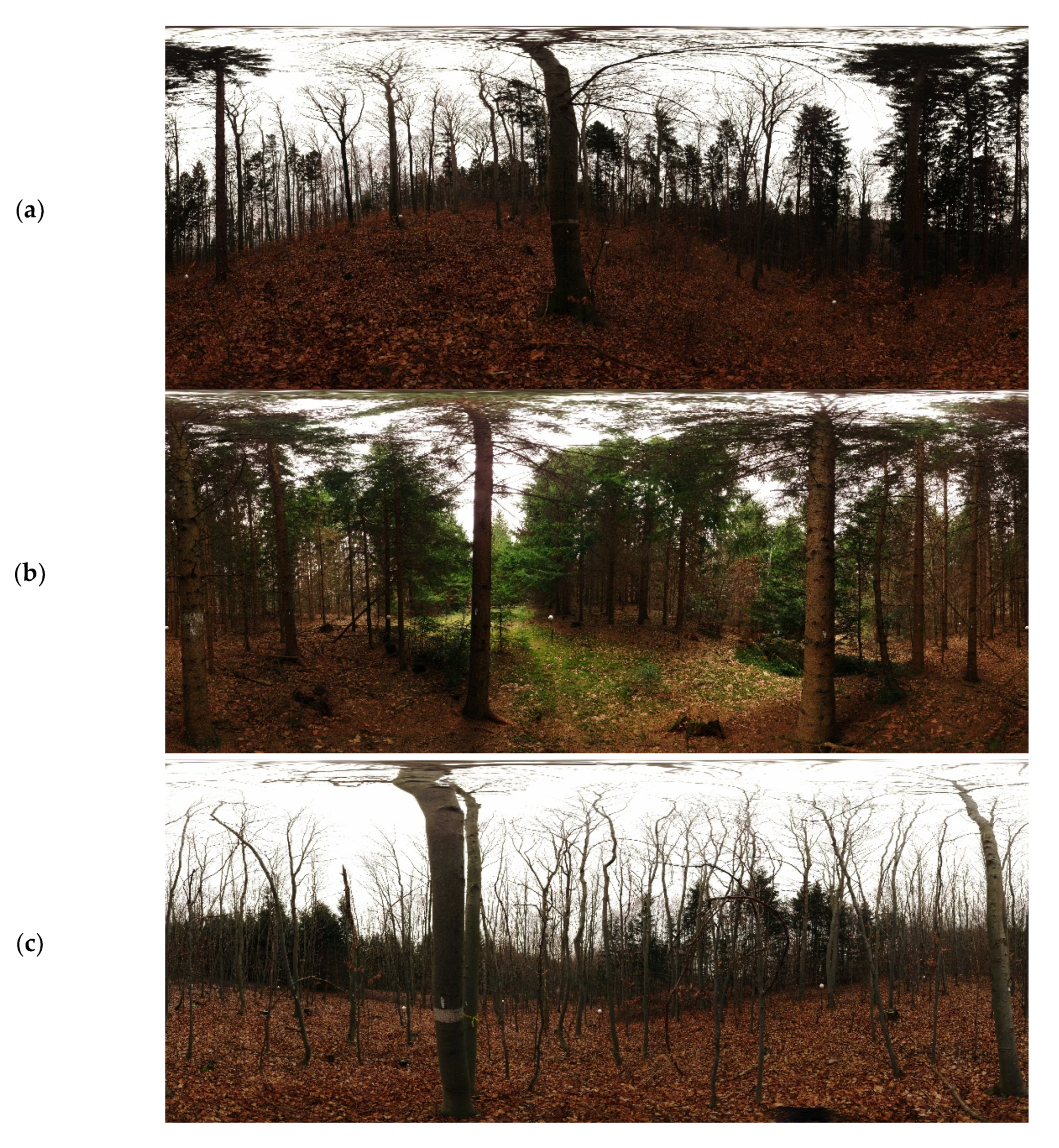 Remotesensing 12 01509 g0a1