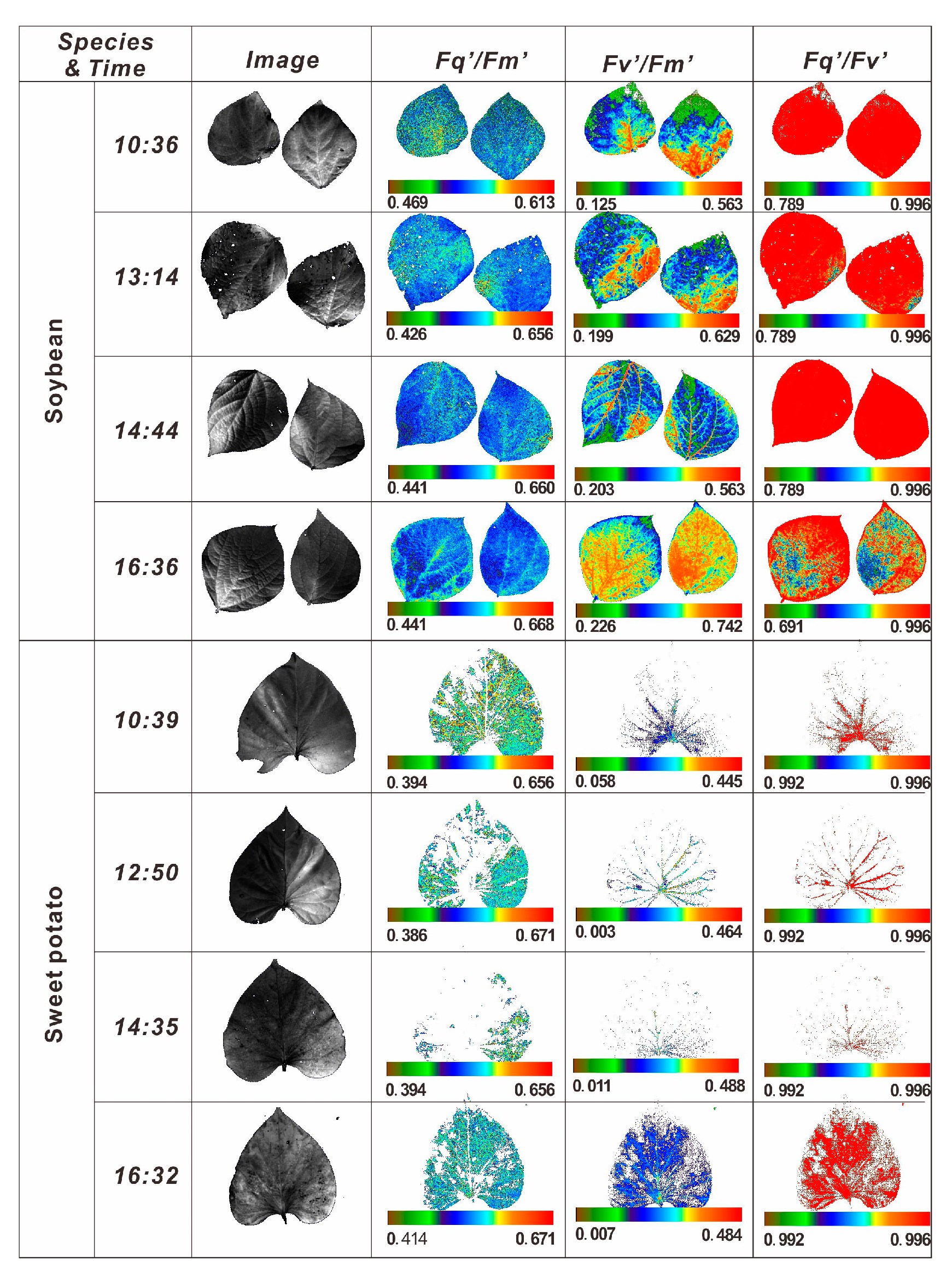 Remotesensing 12 01518 g007 Remotesensing 12 01518 g007