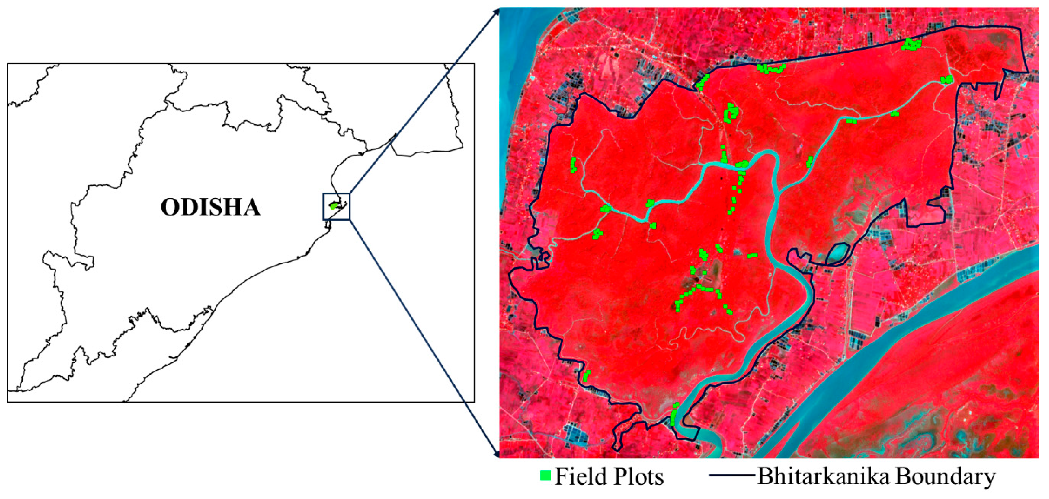 Remote Sensing Free Full Text Canopy Height Estimation Using