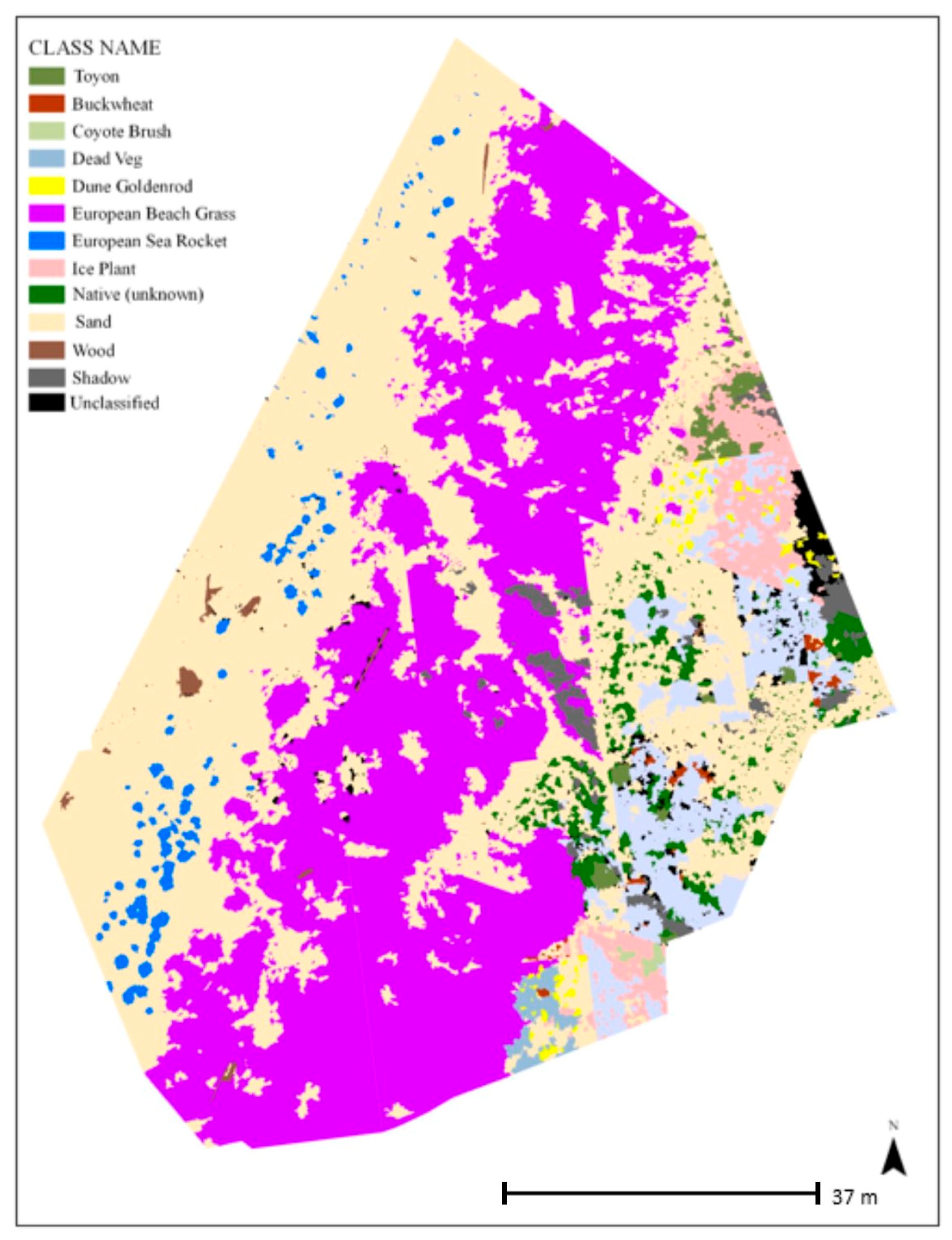Remotesensing 12 01536 g009 Remotesensing 12 01536 g009