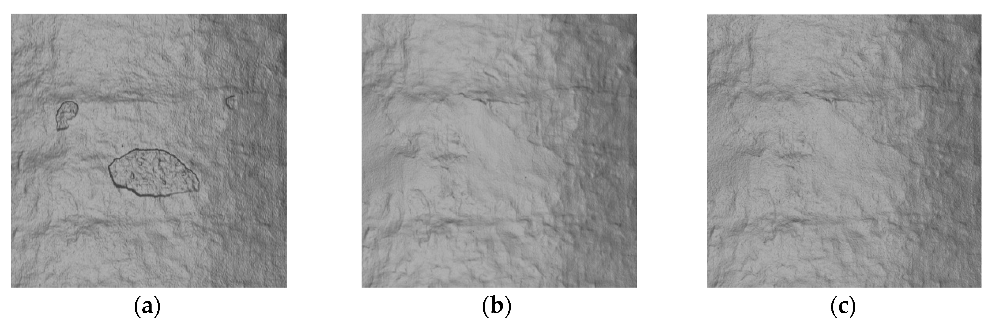 Remotesensing 12 01542 g004
