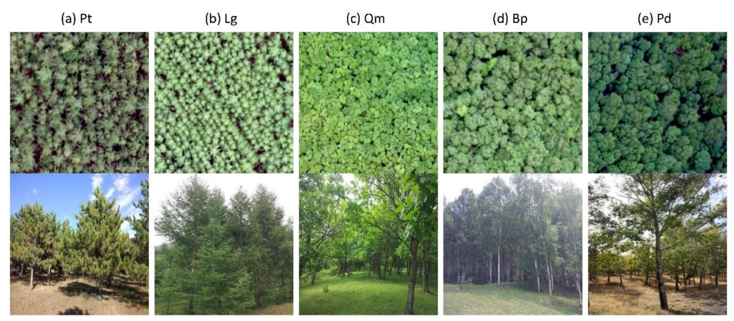 Remotesensing 12 01554 g002 Remotesensing 12 01554 g002