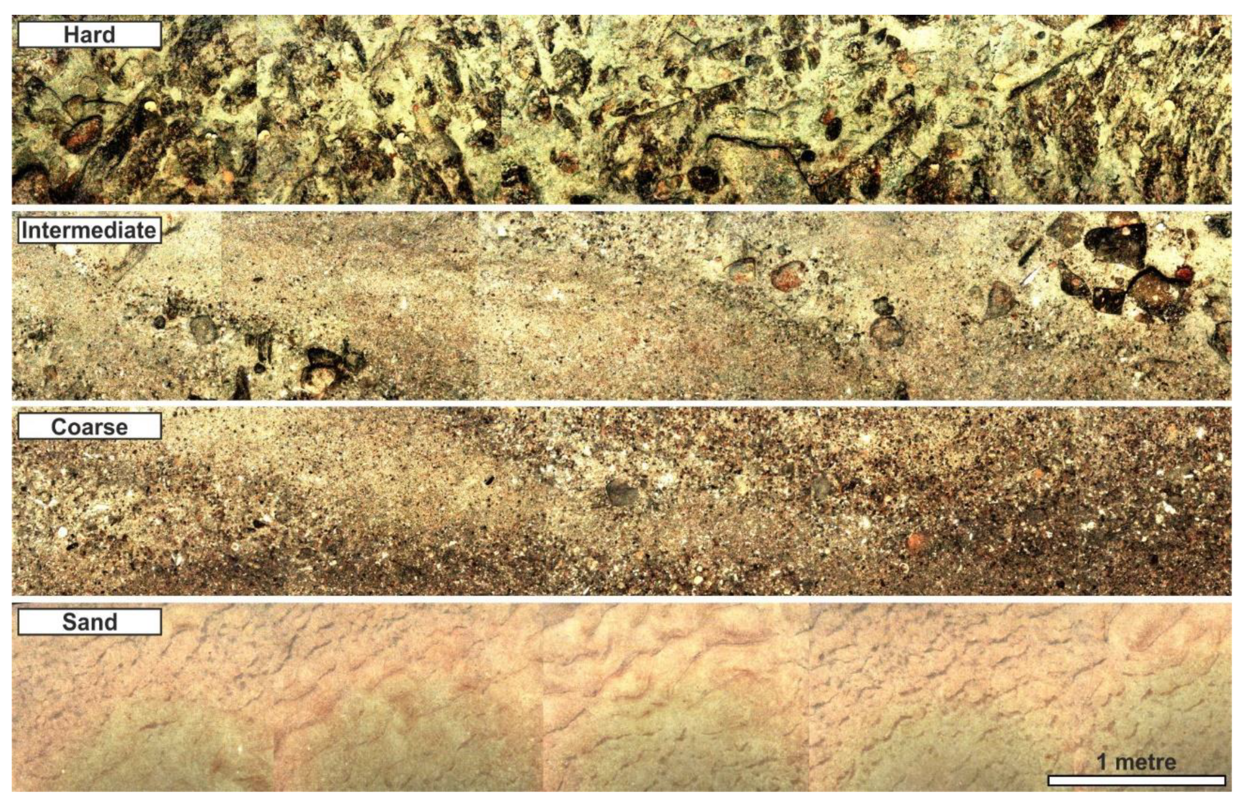 Remotesensing 12 01572 g004